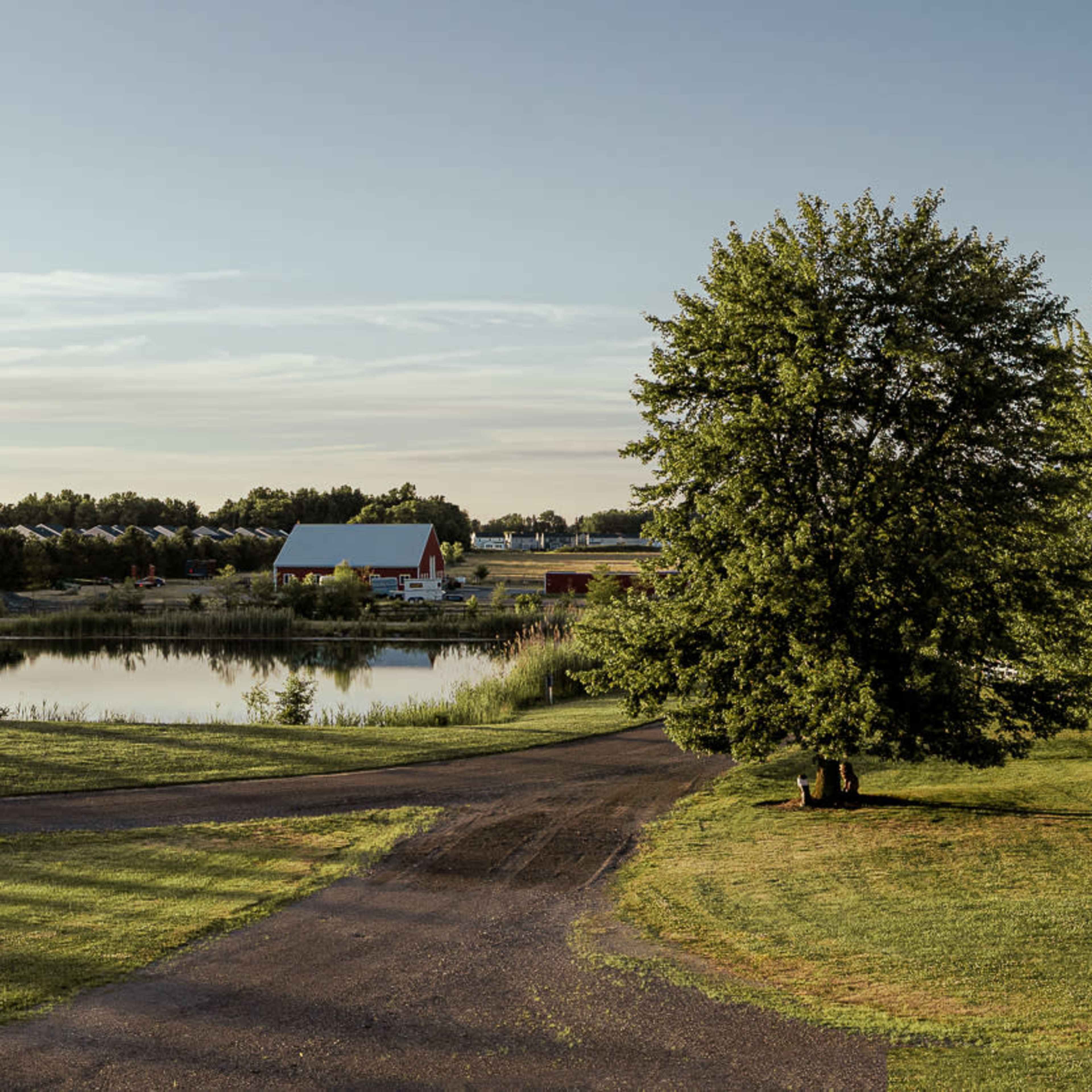A winding path leads through a grassy area beside a pond, with trees and residential structures in the background.