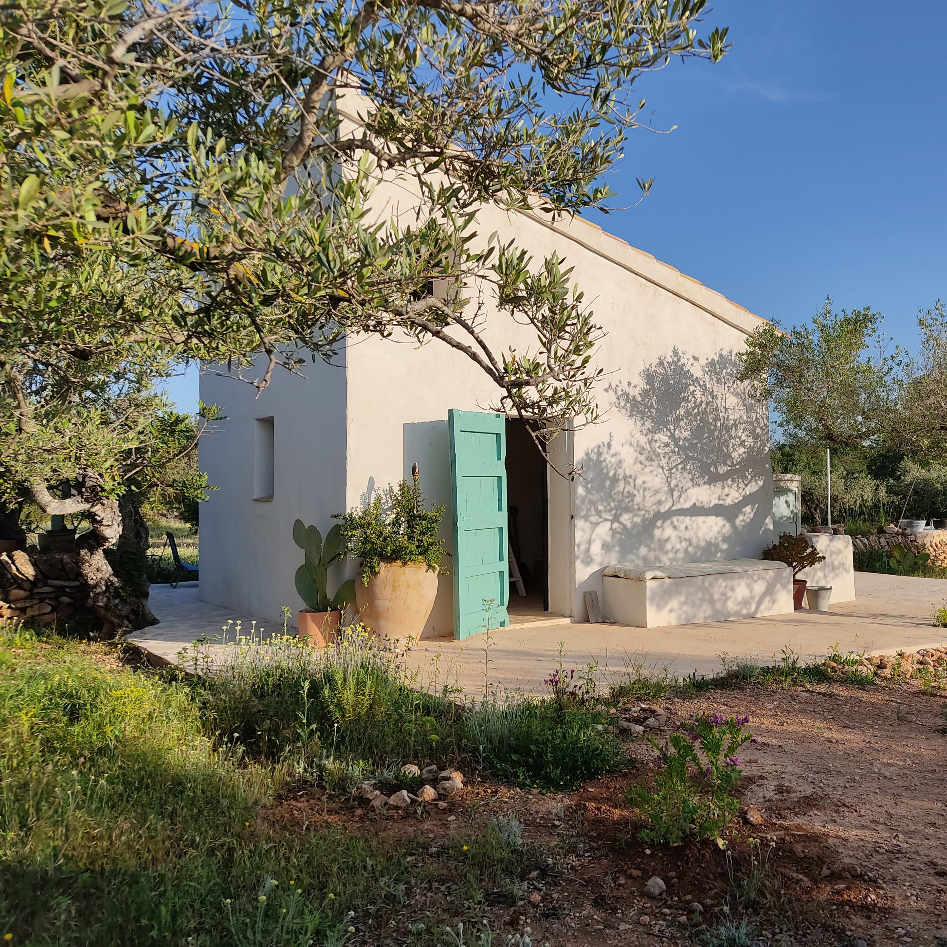 A small white house with a green door is surrounded by olive trees and a gravel path.