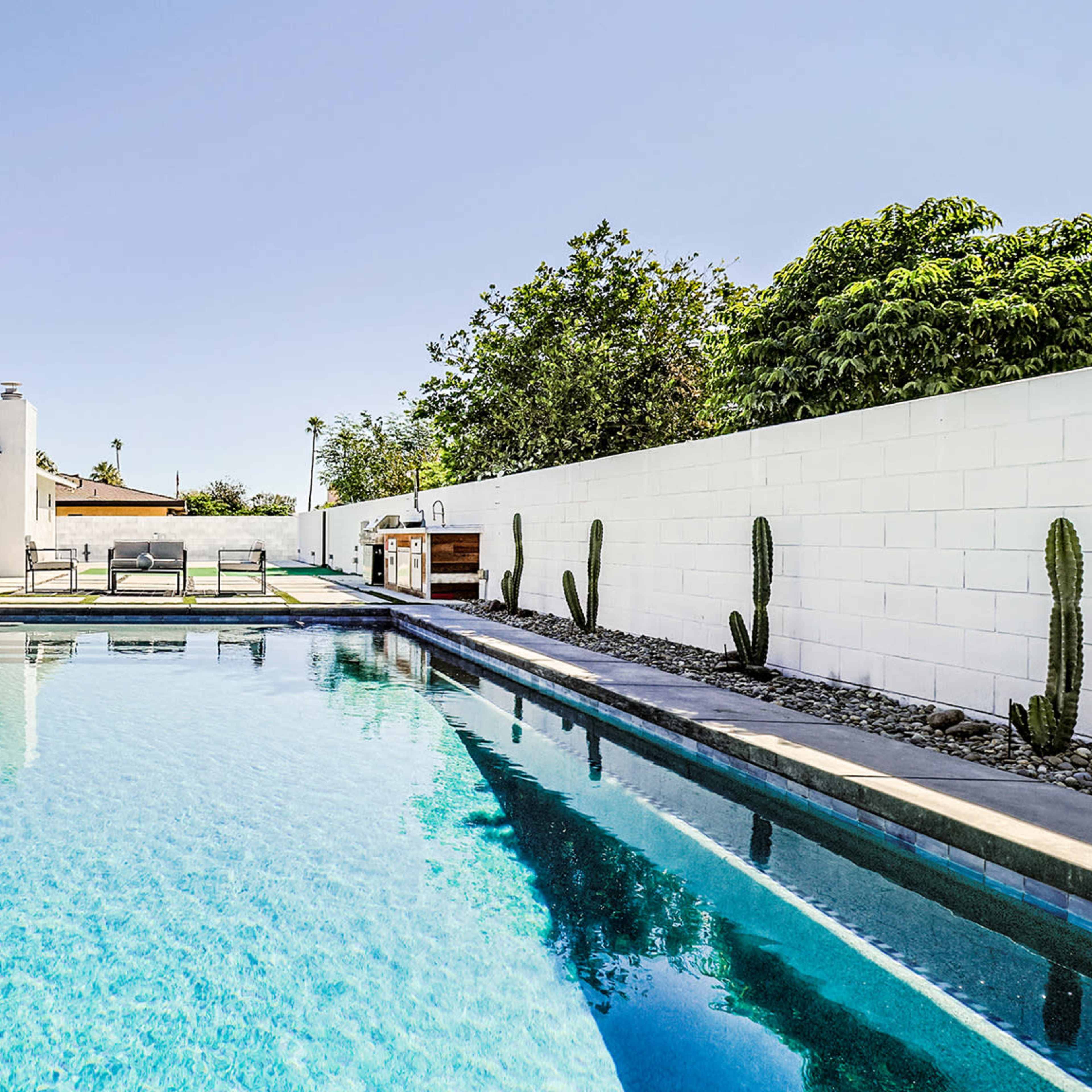 A modern backyard with a pool, lounge chairs, tall palm trees, and a white wall featuring cacti.