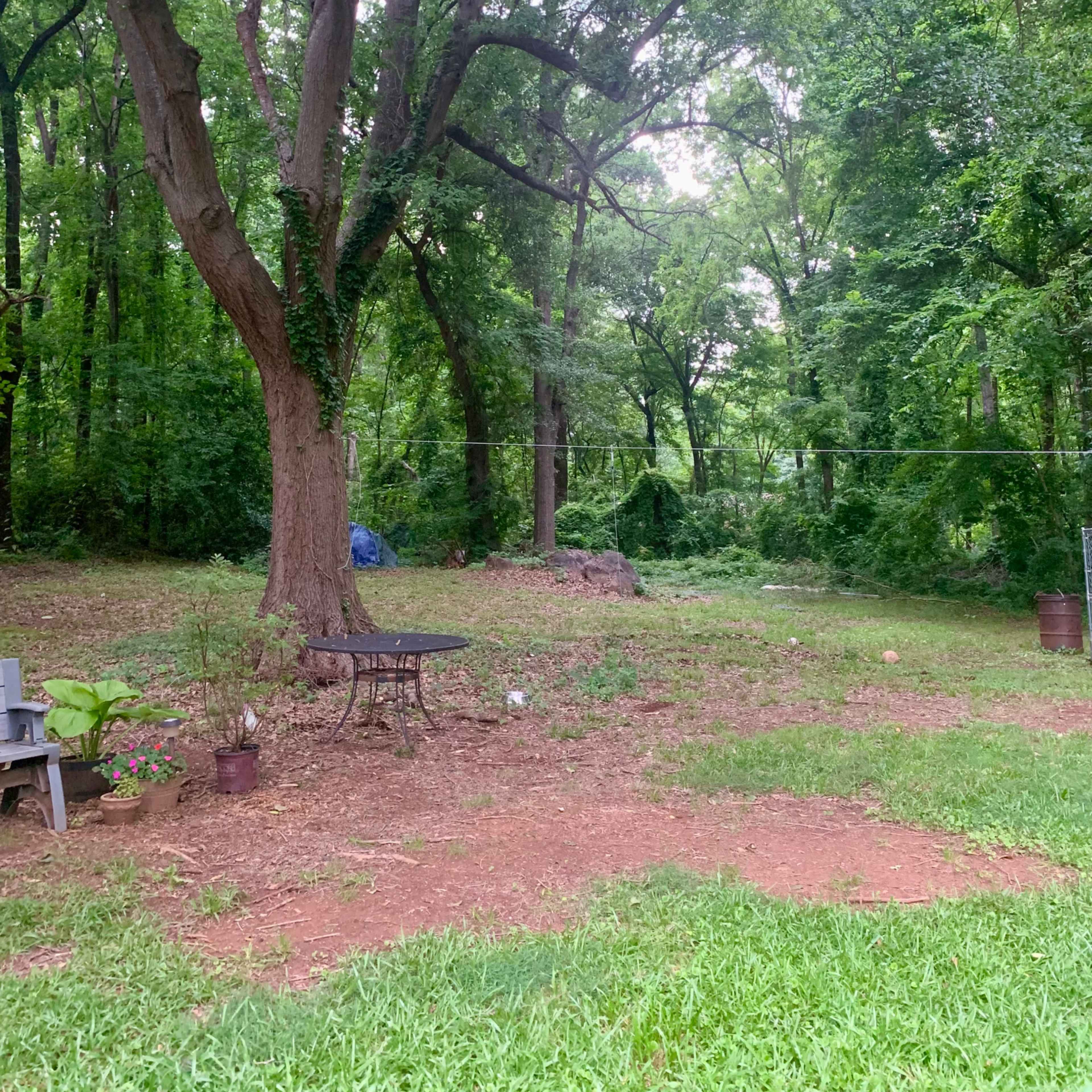 Big Backyard, Rustic Woodland Setting, Mature Tree Canopy and Butterfly Garden for Photo Shoots Image in , Mount Holly, NC