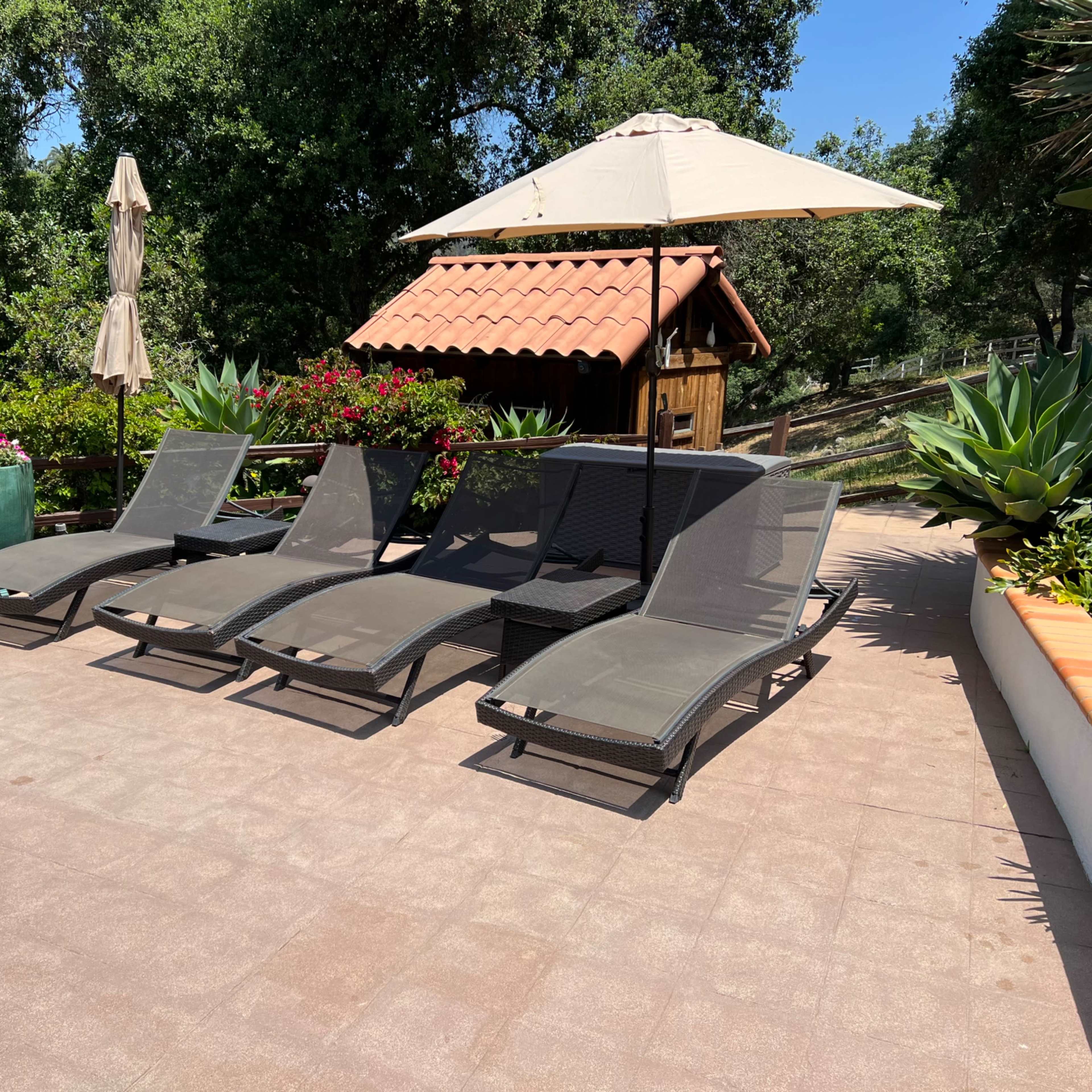 A poolside area with four loungers, an umbrella, and a gazebo, surrounded by greenery and potted plants.