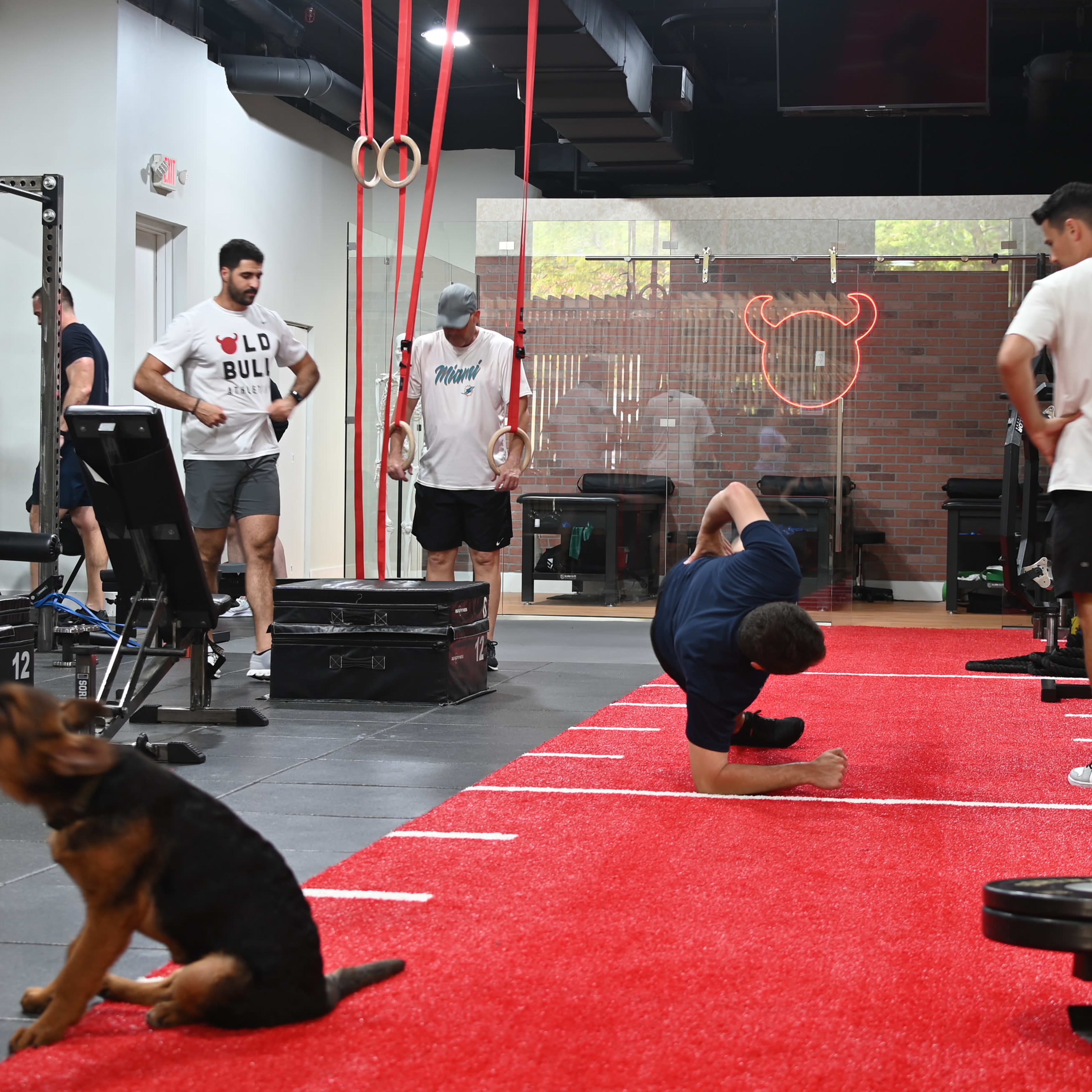 A group of people workout in a gym area featuring exercise equipment, red flooring, and a dog sitting nearby.