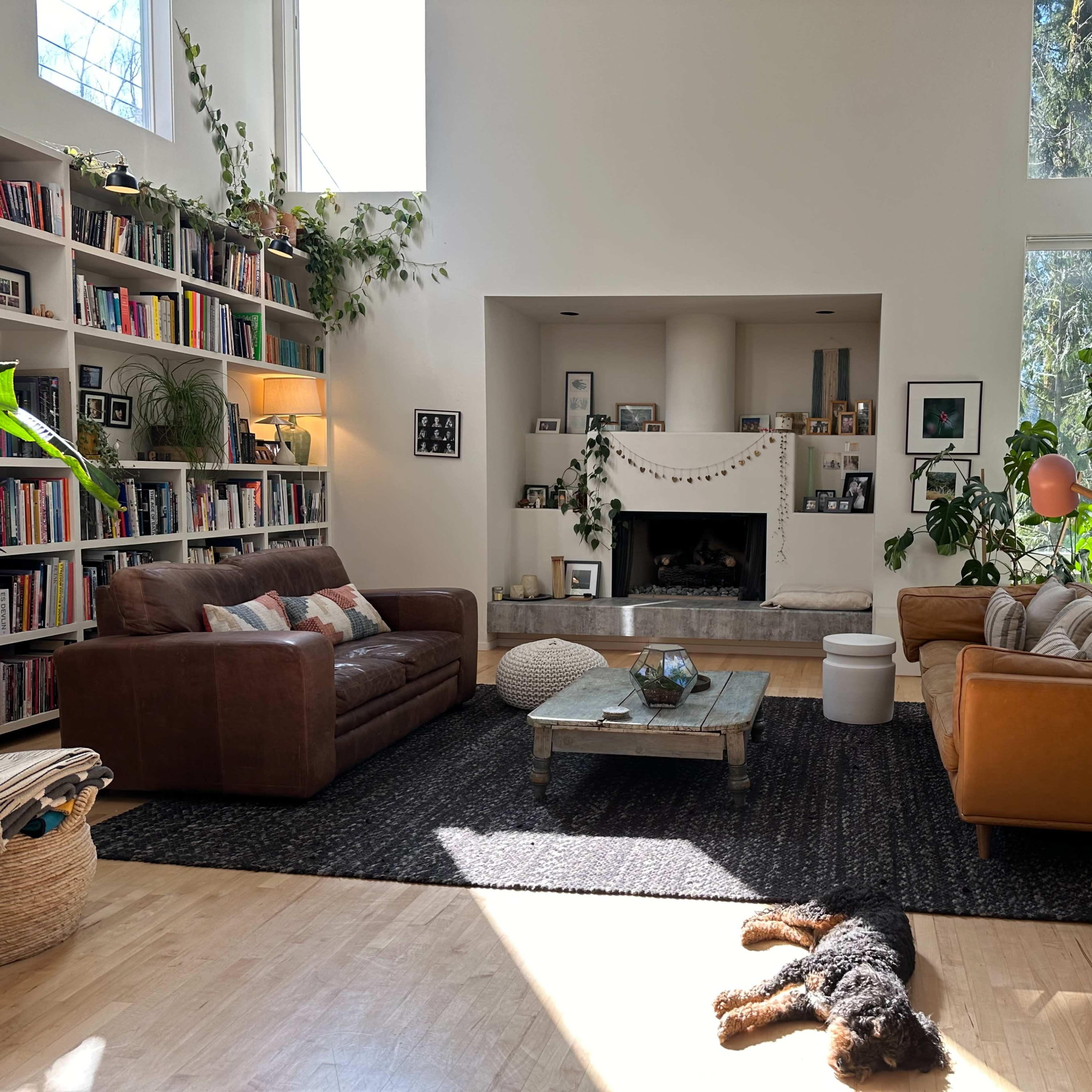 The spacious living room features a brown sectional couch, a yellow armchair, a large coffee table, bookshelves filled with books, and a dog lying on a dark rug under bright sunlight.