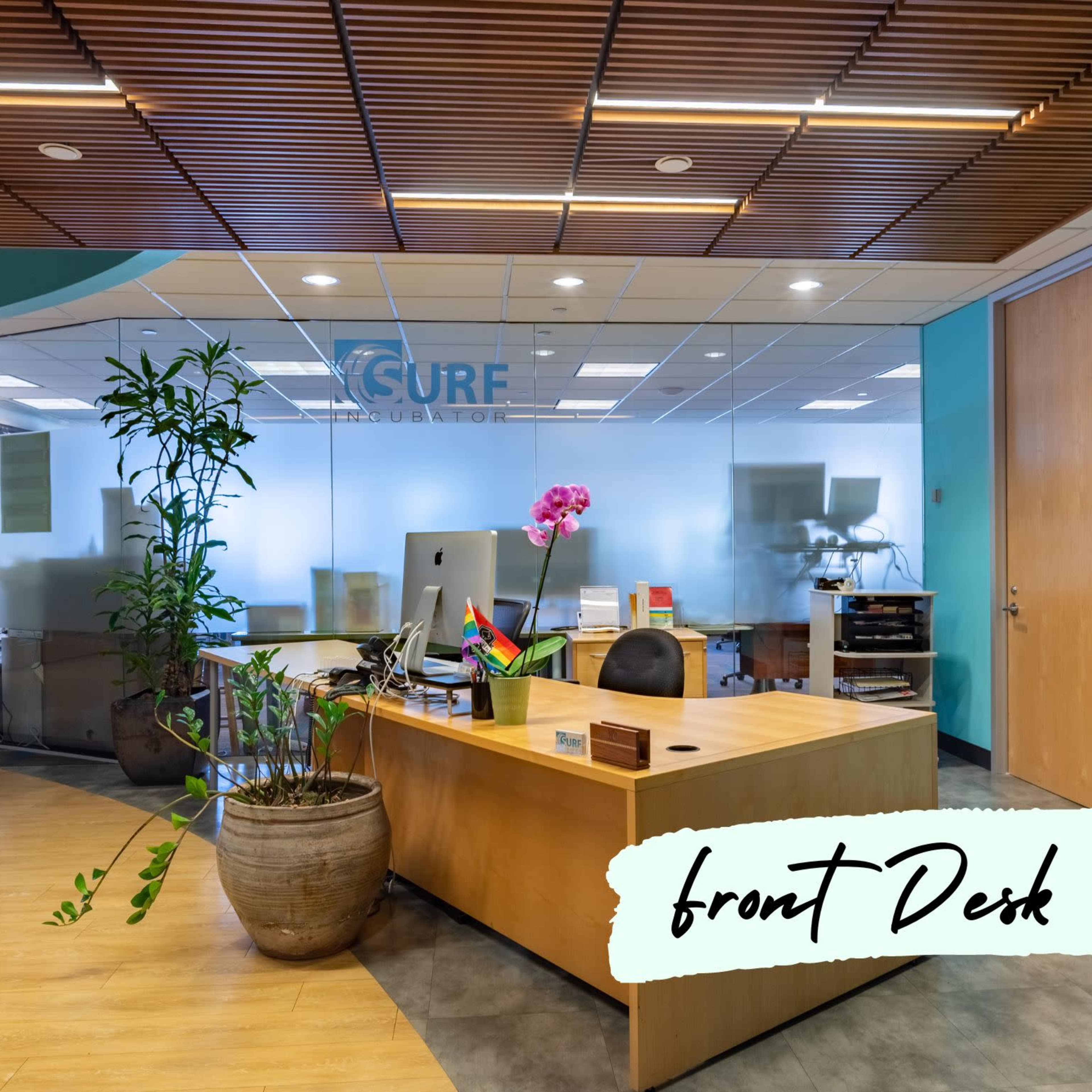 A modern office reception area with a wooden front desk, plants, and visible office space in the background.