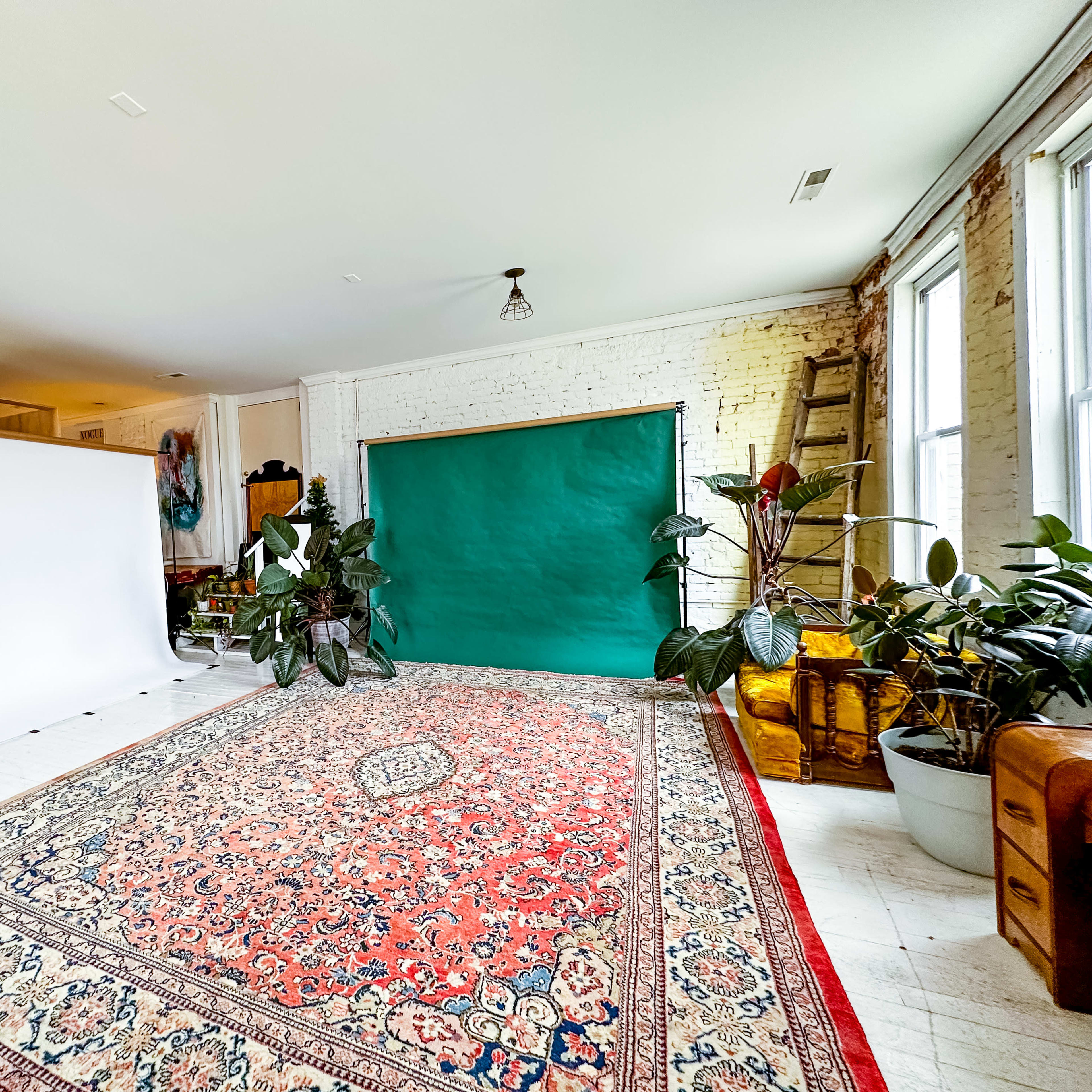 A spacious room with a large red and cream patterned rug, a green backdrop, a white backdrop on the left, and several potted plants.