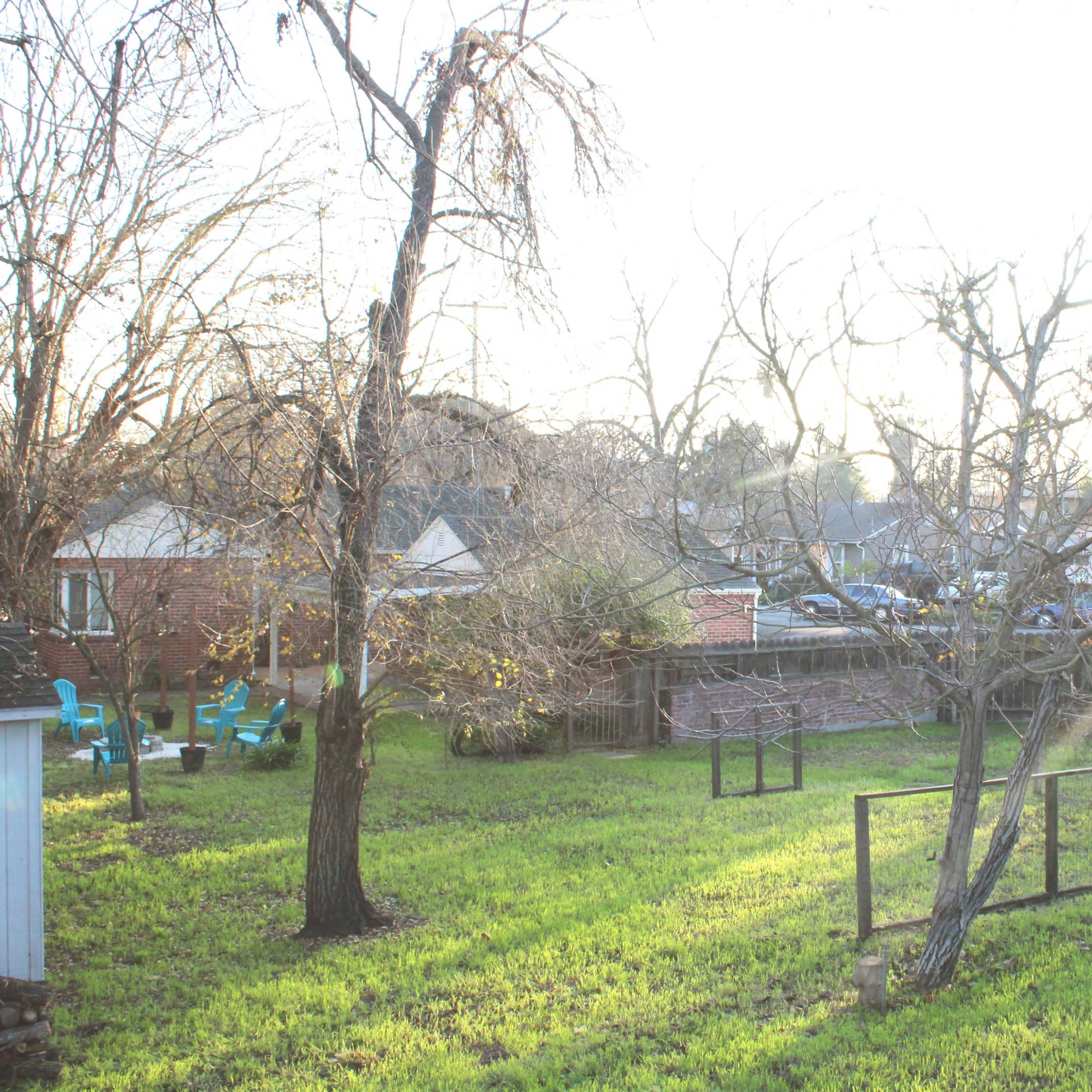 A backyard with sparse trees and a grassy area, illuminated by sunlight, with some chairs in the distance and a power line visible.