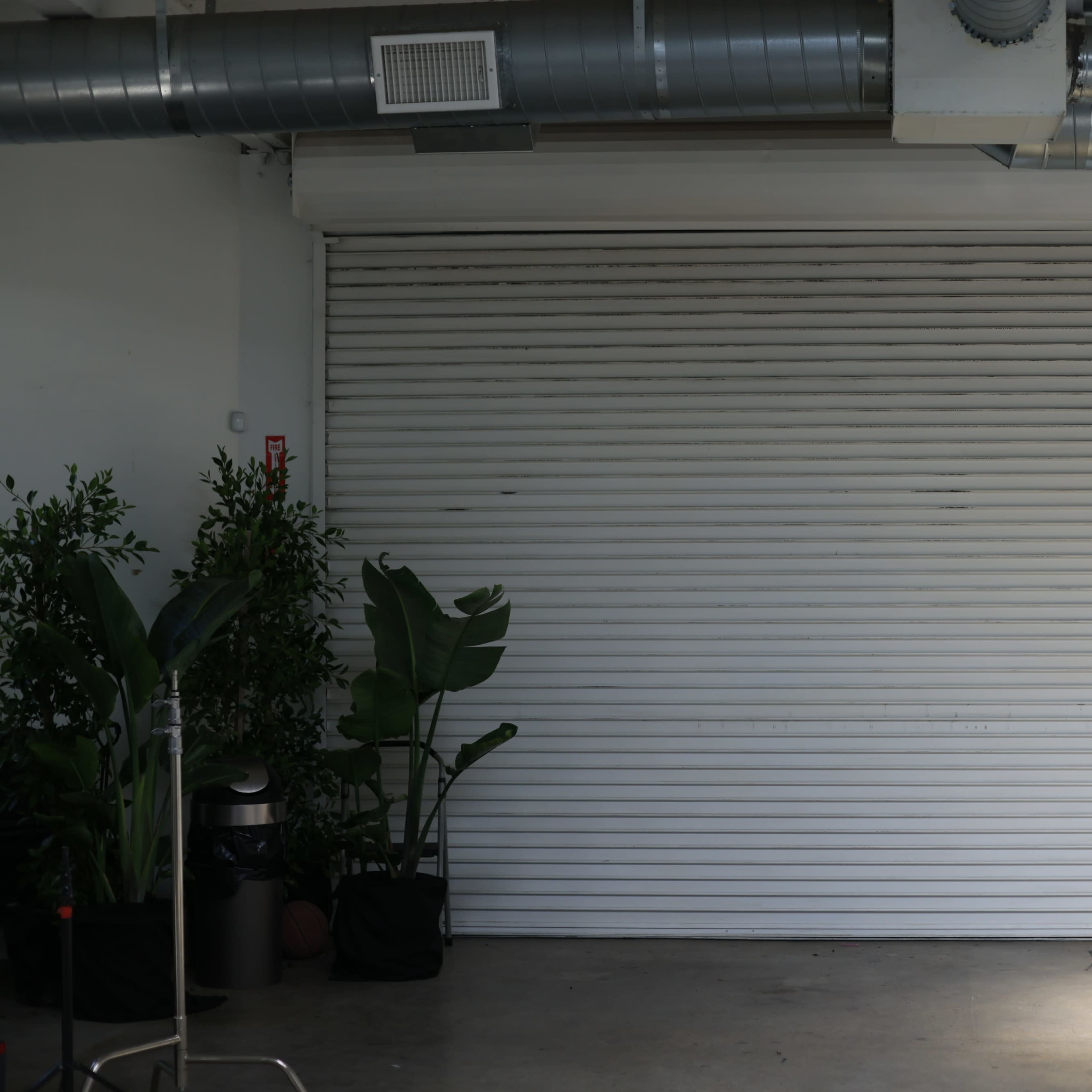 A closed white rolling garage door in an interior space, flanked by potted plants and illuminated by a window.