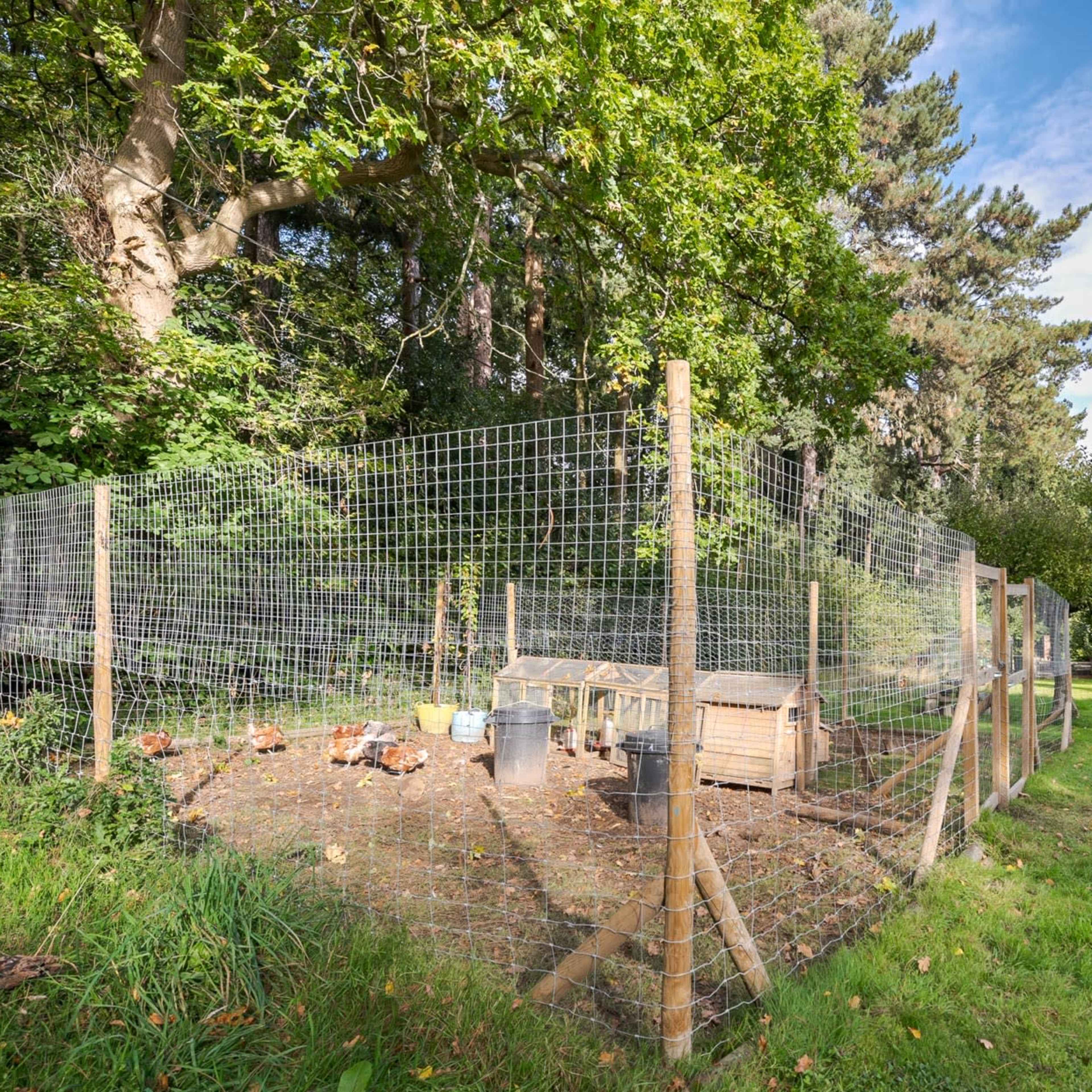 A fenced chicken coop is located in a grassy area surrounded by trees.