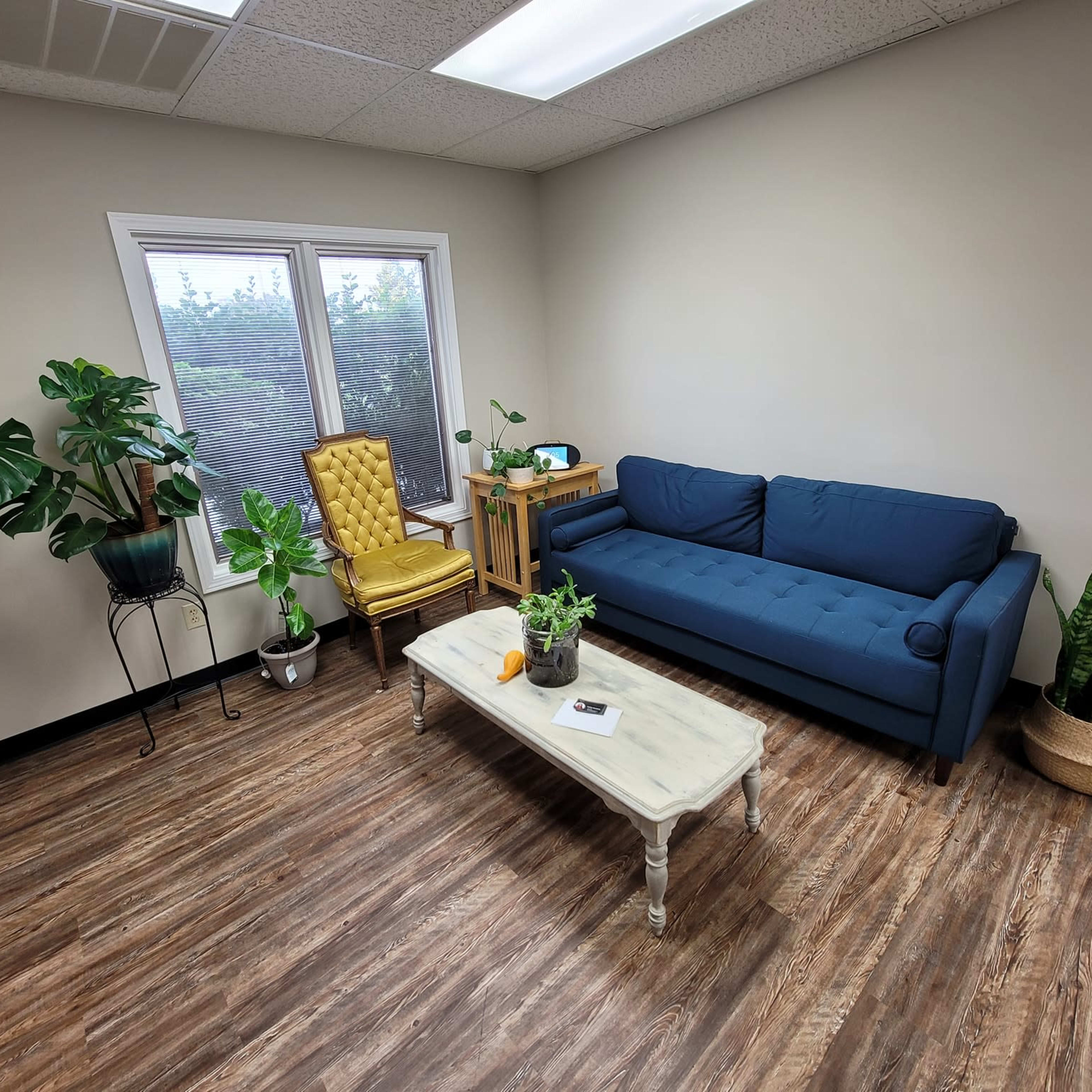 A cozy, light-filled room with a blue couch, a yellow armchair, a coffee table, and various indoor plants.