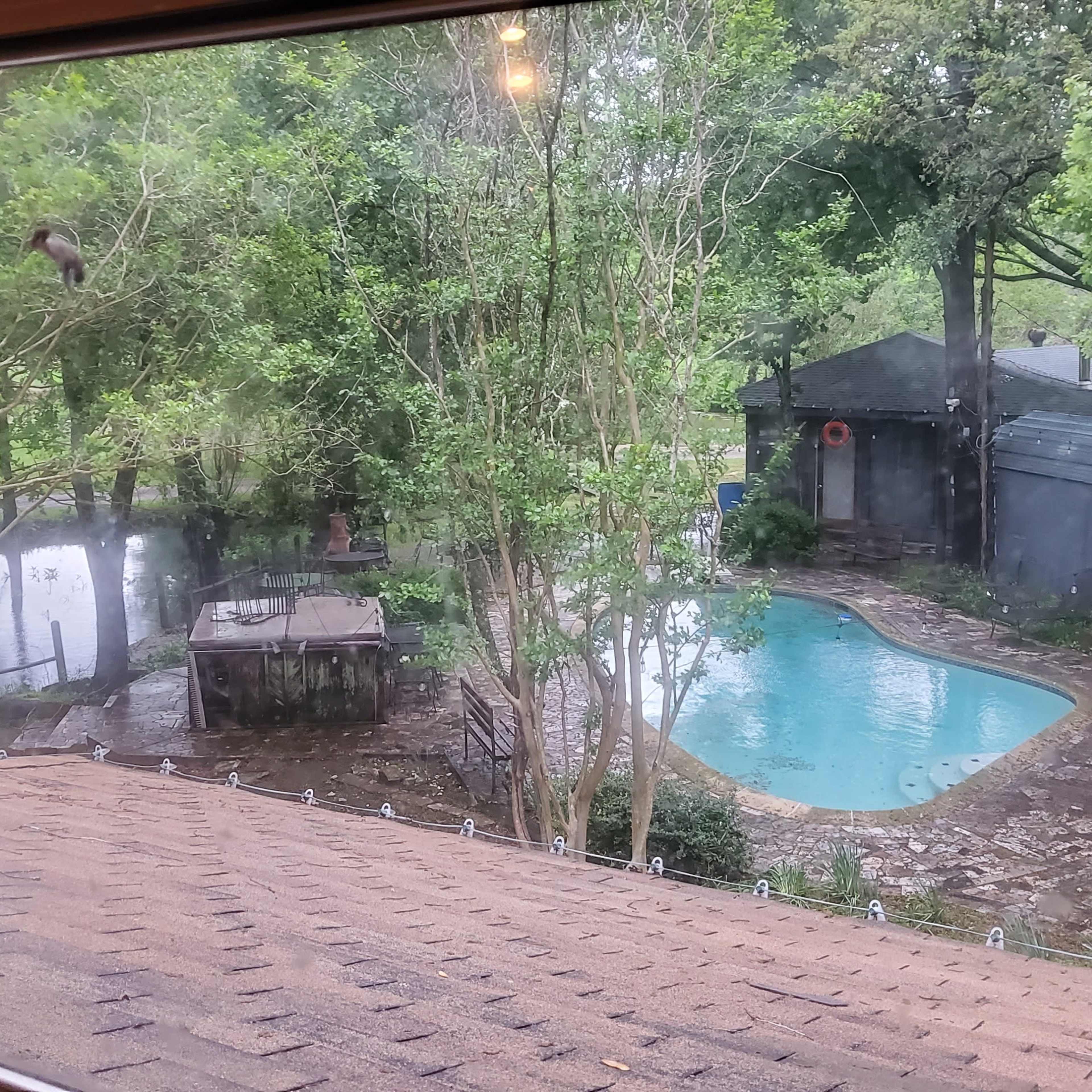 A view from a window overlooking a backyard with a pool, a wooden deck, and a nearby structure, all surrounded by trees and a pond.