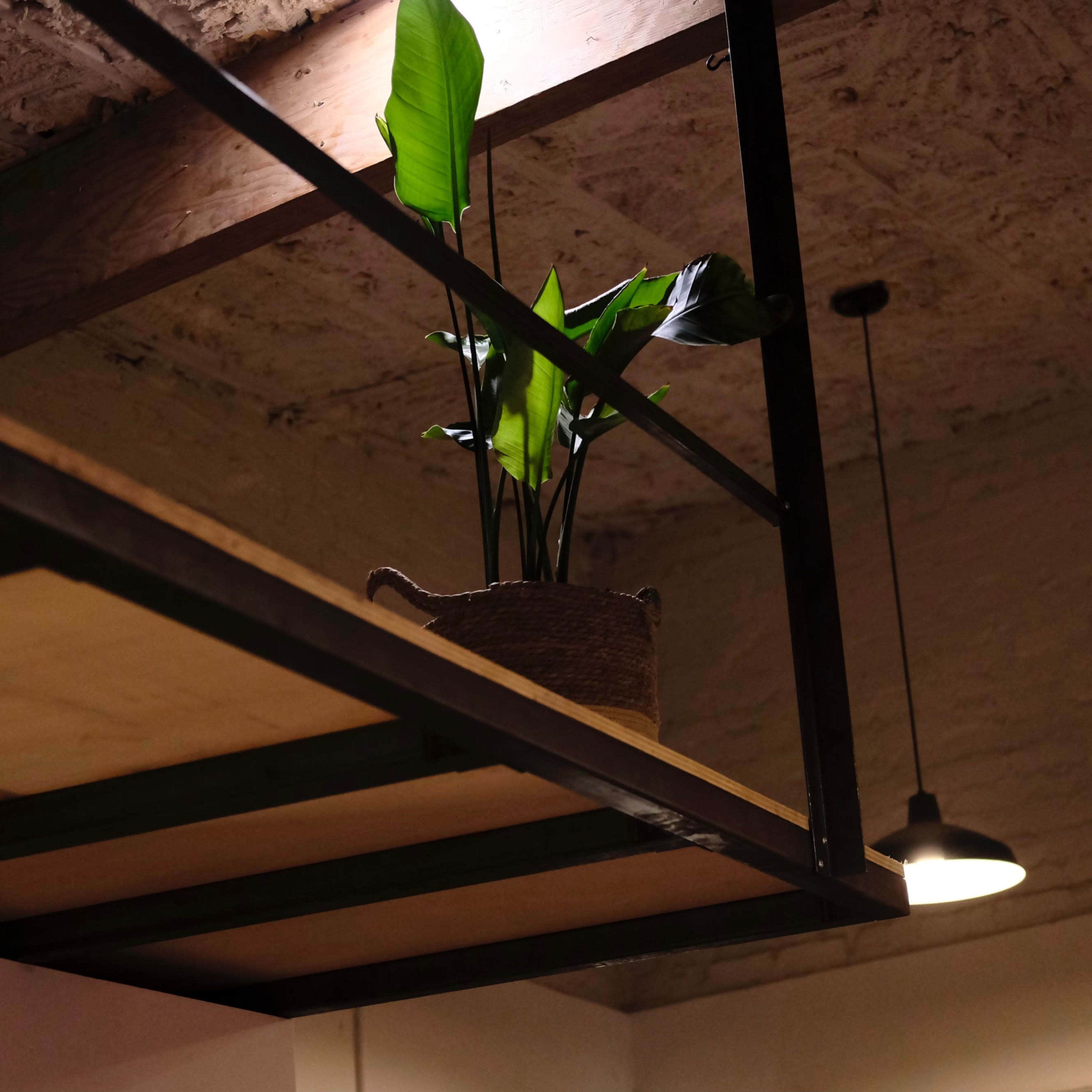 A potted plant sits on a wooden shelf supported by a metal frame, with exposed ceiling beams and a pendant light in the background.