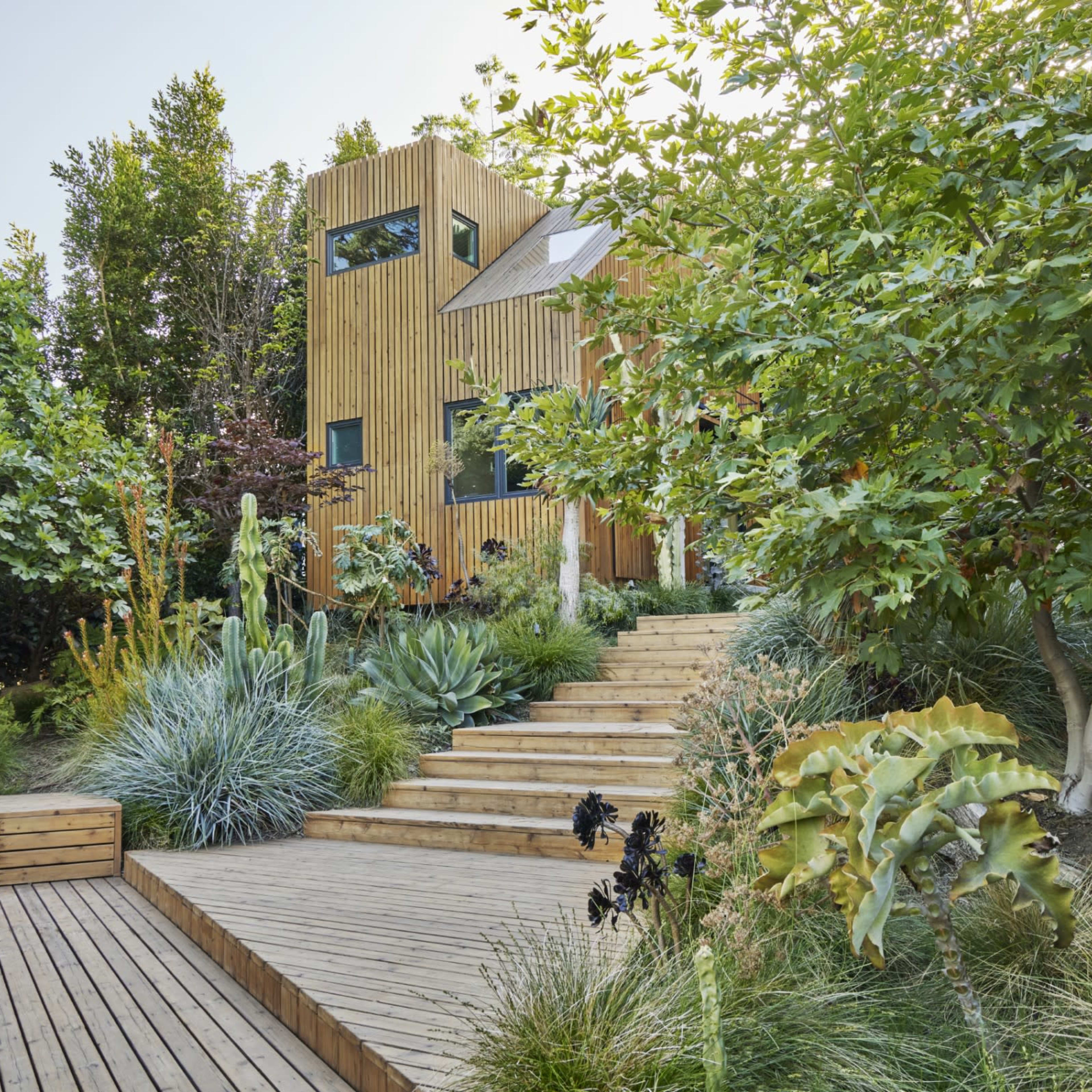 A modern wooden house is set among lush greenery and diverse plants, with a staircase leading up to its entrance.