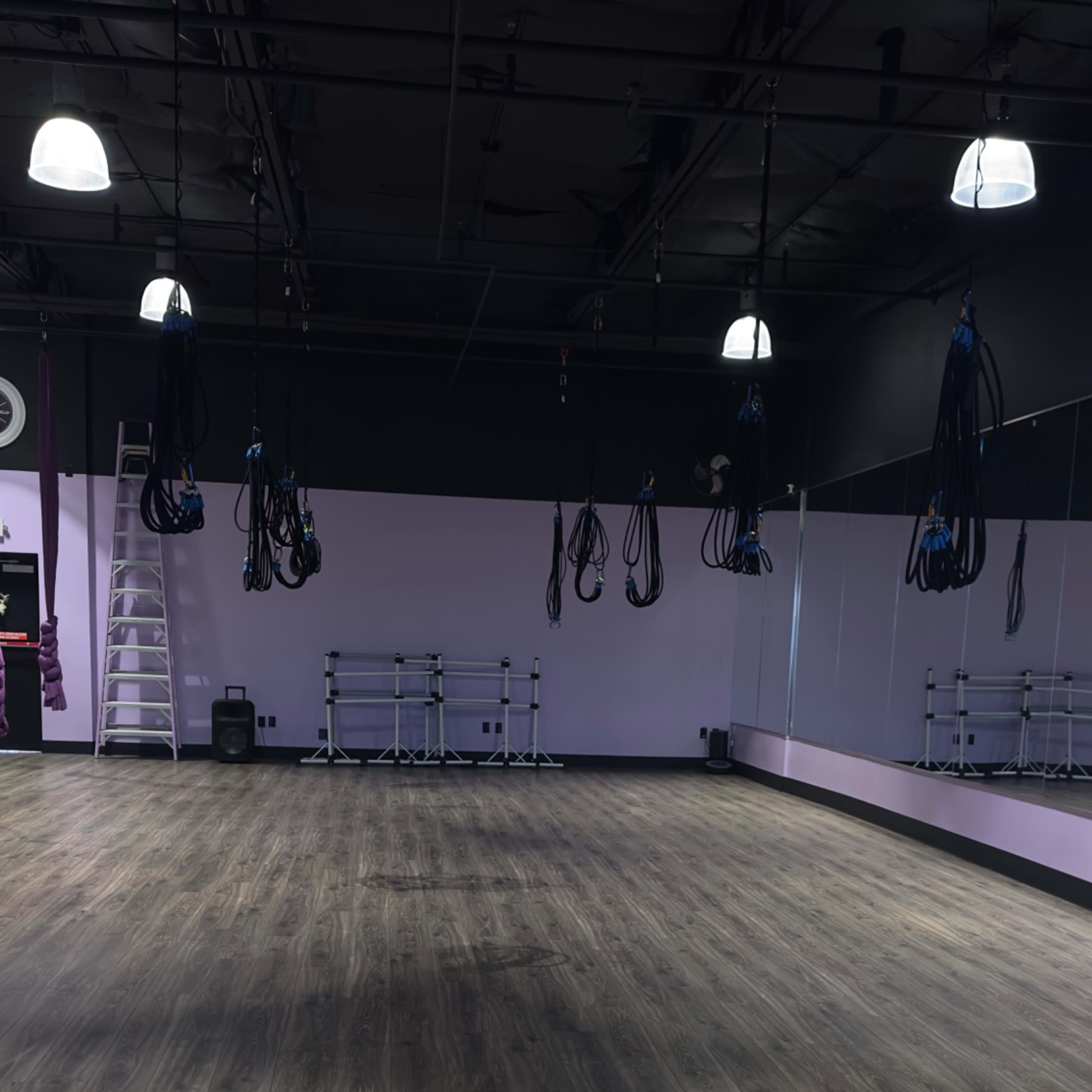 A spacious fitness studio with wooden flooring, purple walls, hanging equipment, and a ladder against one wall.
