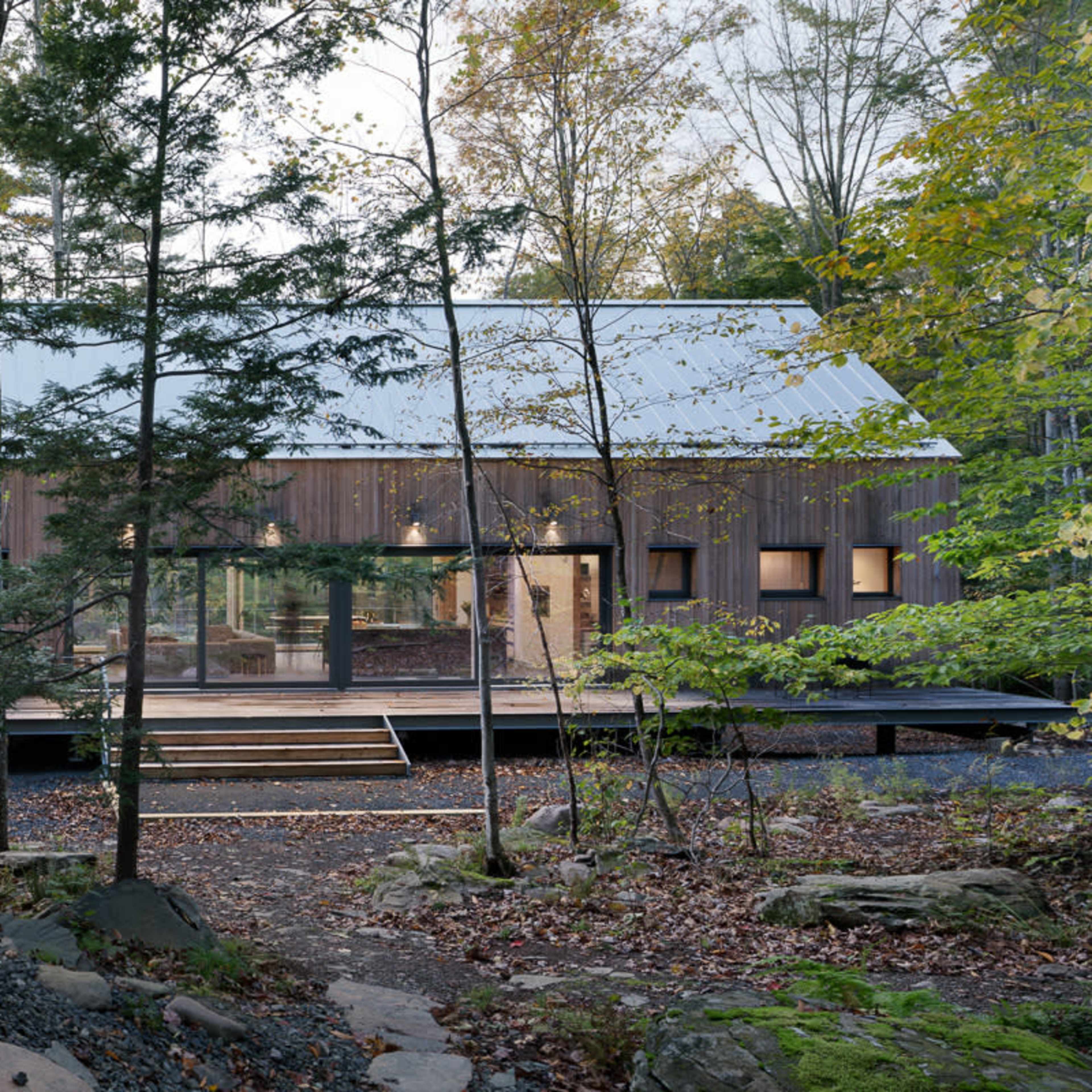 A modern wooden cabin with a metal roof is surrounded by trees and built on a raised platform in a forested area.