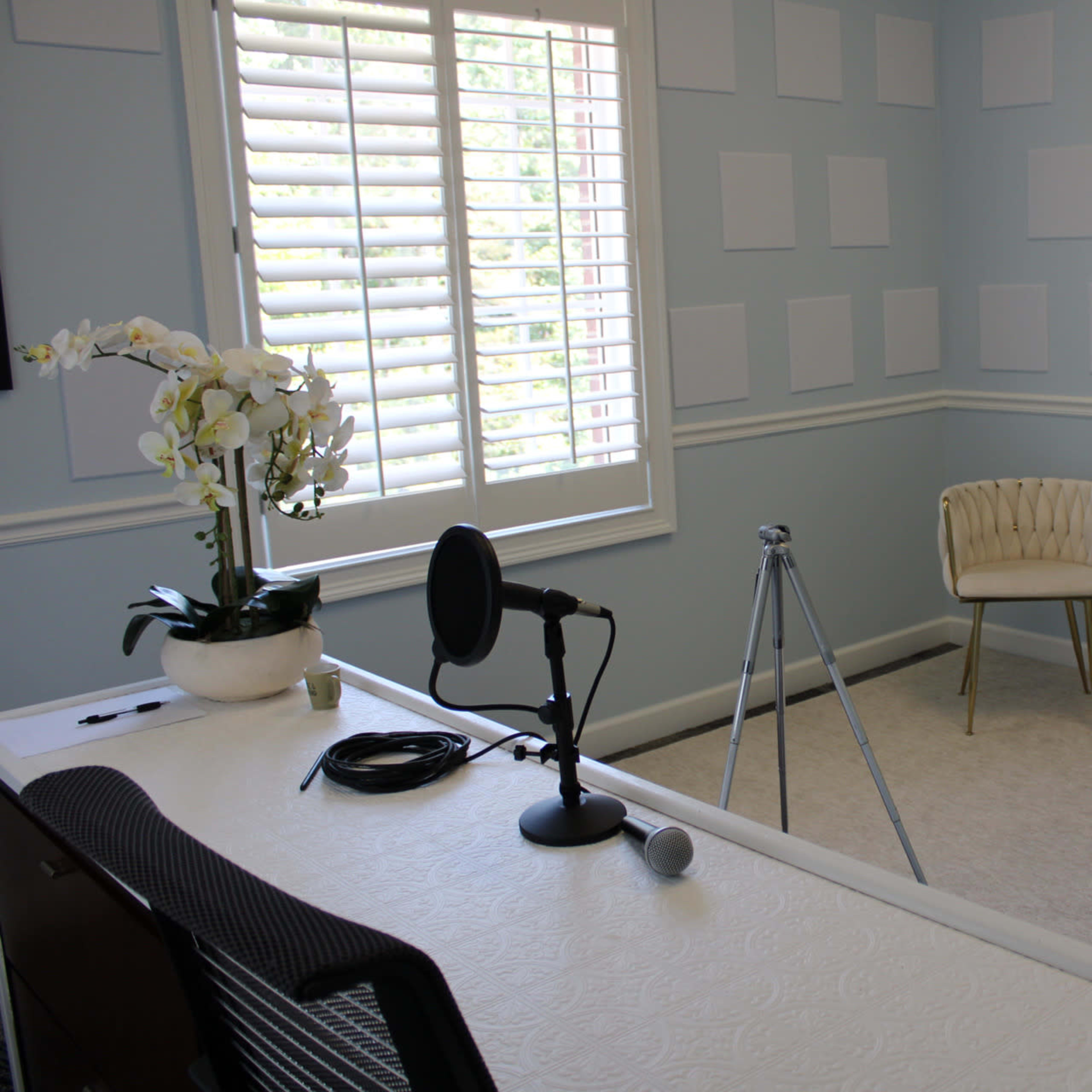 A light blue room features a desk with a microphone, a tripod, and two elegant chairs positioned around a decorative plant.