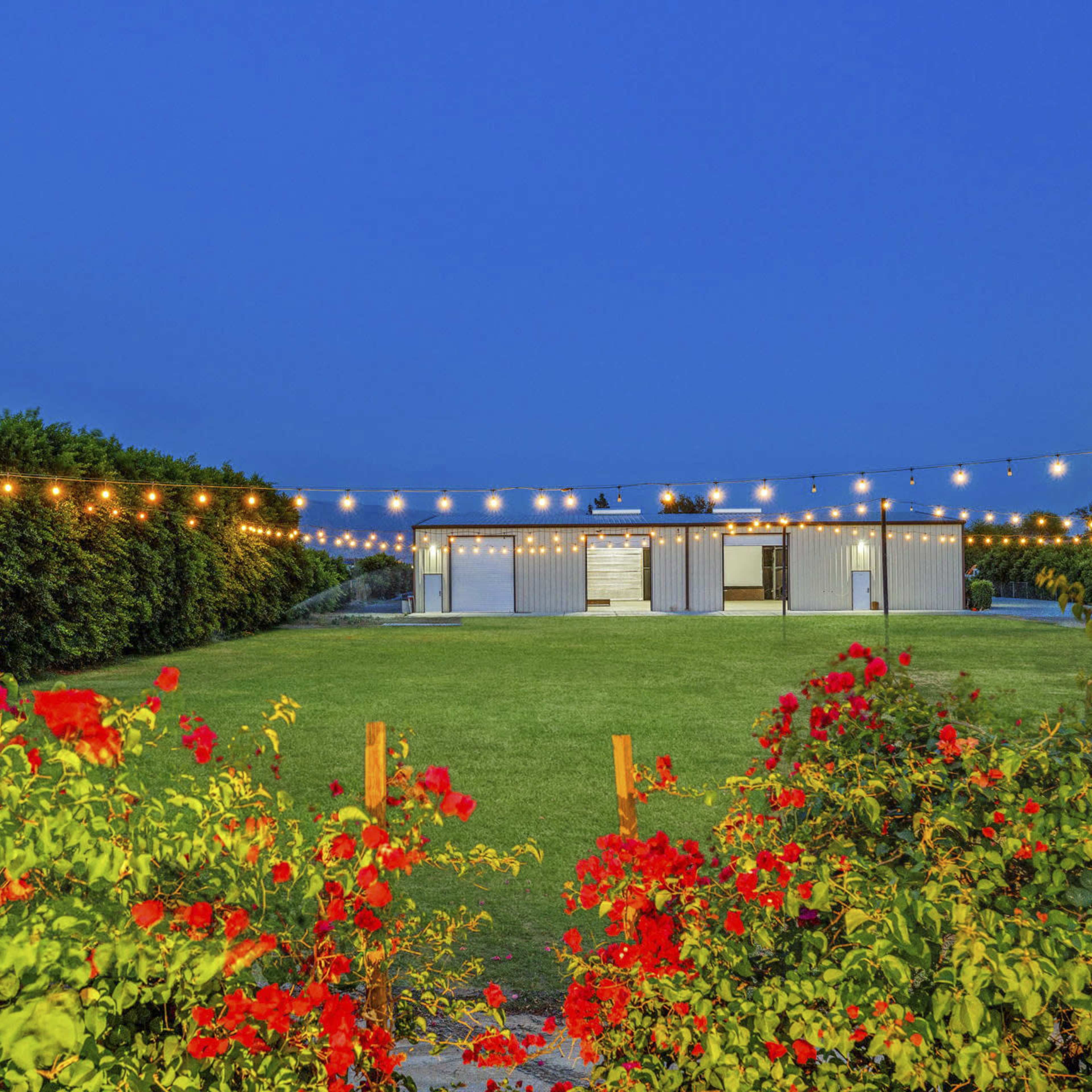 A modern building is illuminated by string lights in a landscaped yard surrounded by vibrant red flowers.