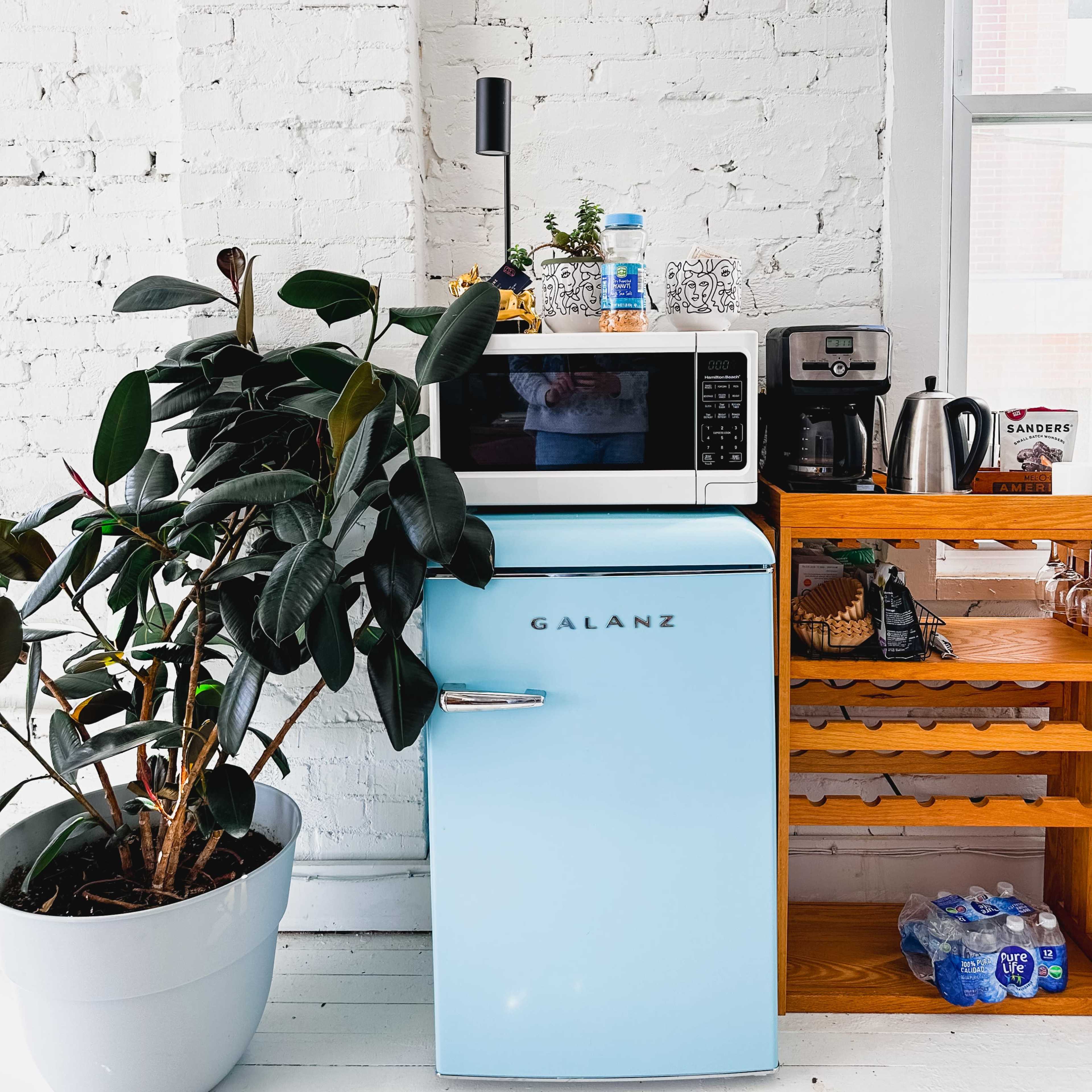 A turquoise refrigerator next to a microwave and several kitchen items on a wooden shelf, with a large potted plant nearby.