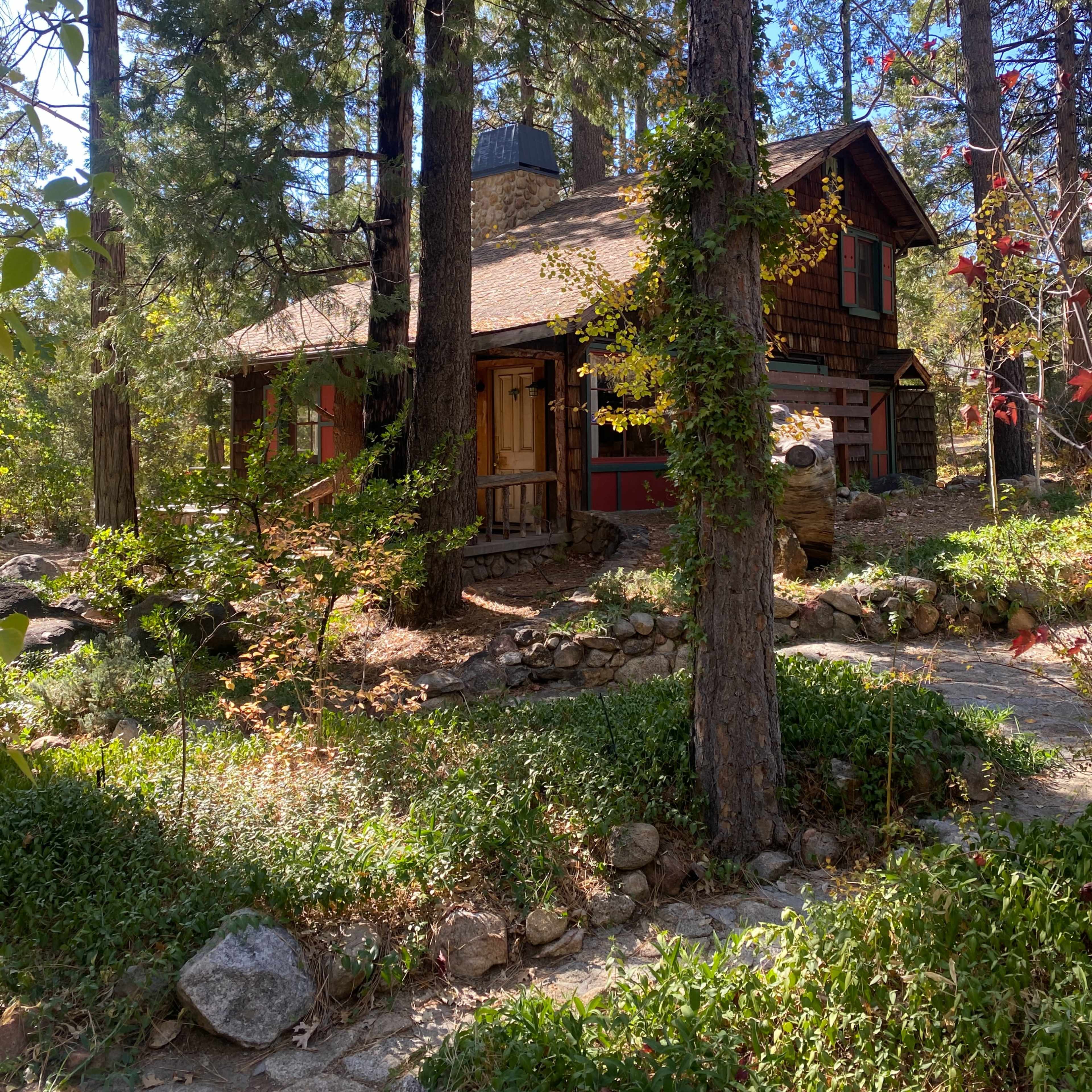 The Owl Pine Image in Idyllwild-Pine Cove, Idyllwild-Pine Cove, CA