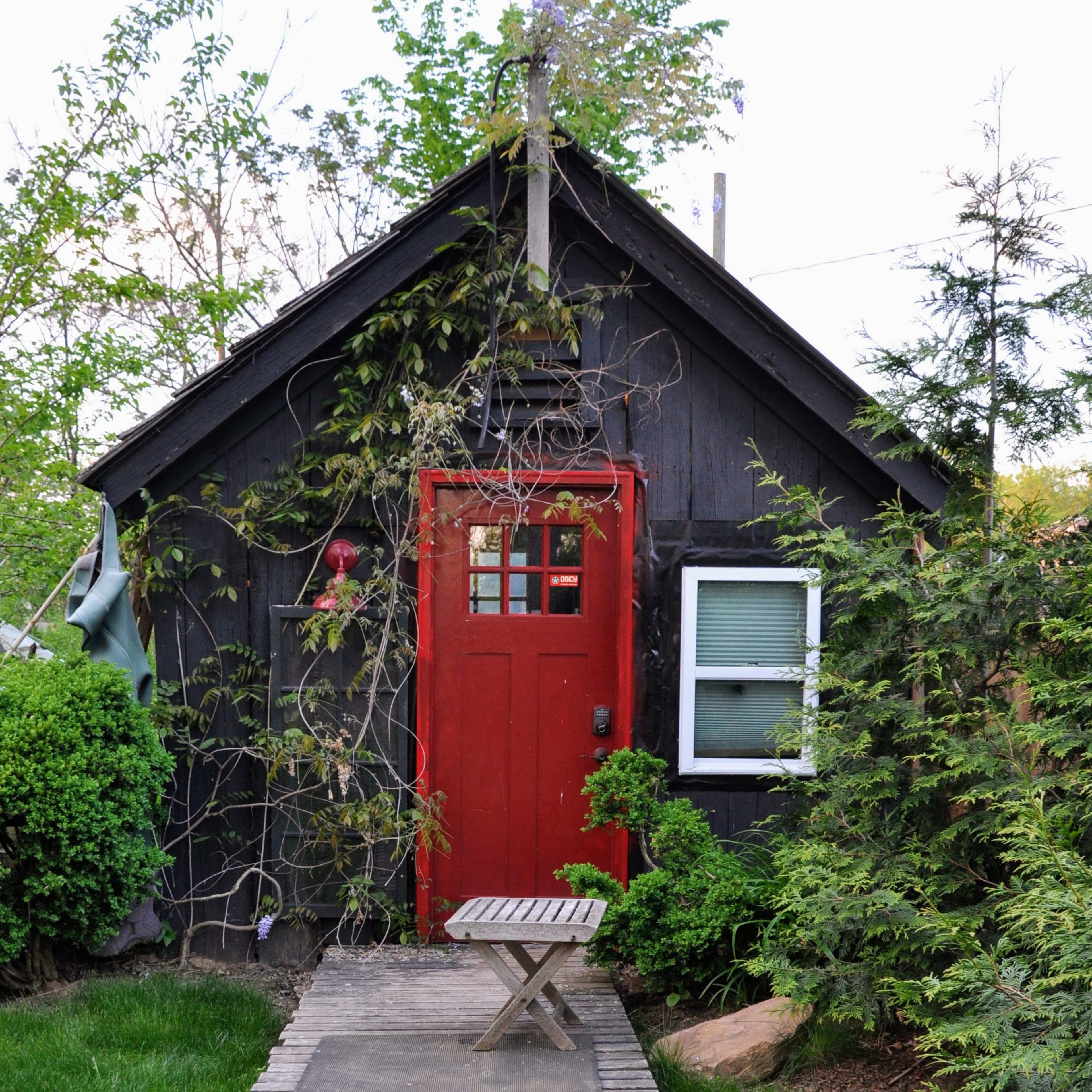 A small, dark-colored shed with a bright red door and wooden steps is surrounded by greenery and climbing plants.