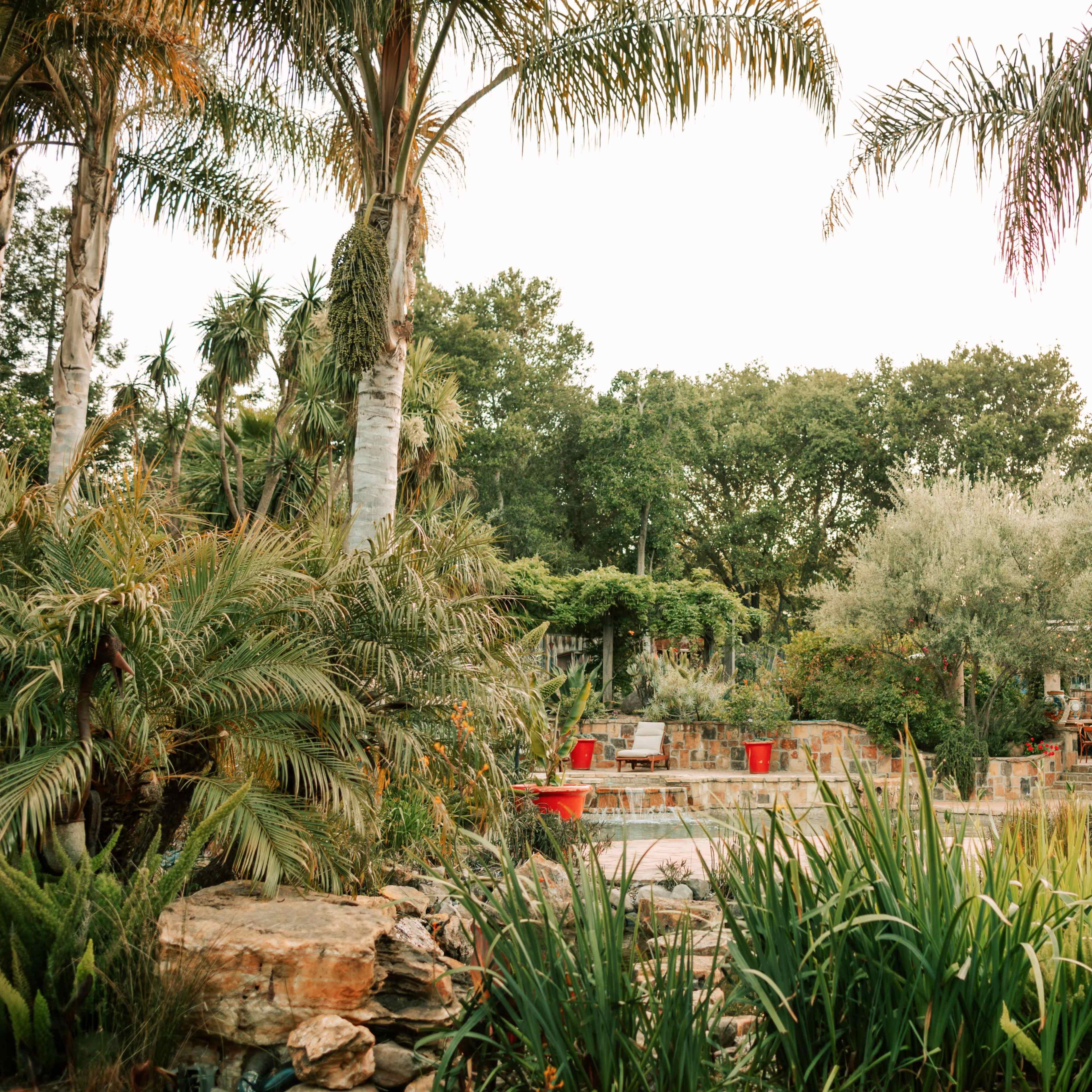 A landscaped garden features palm trees, various plants, and stone seating areas surrounded by lush greenery.