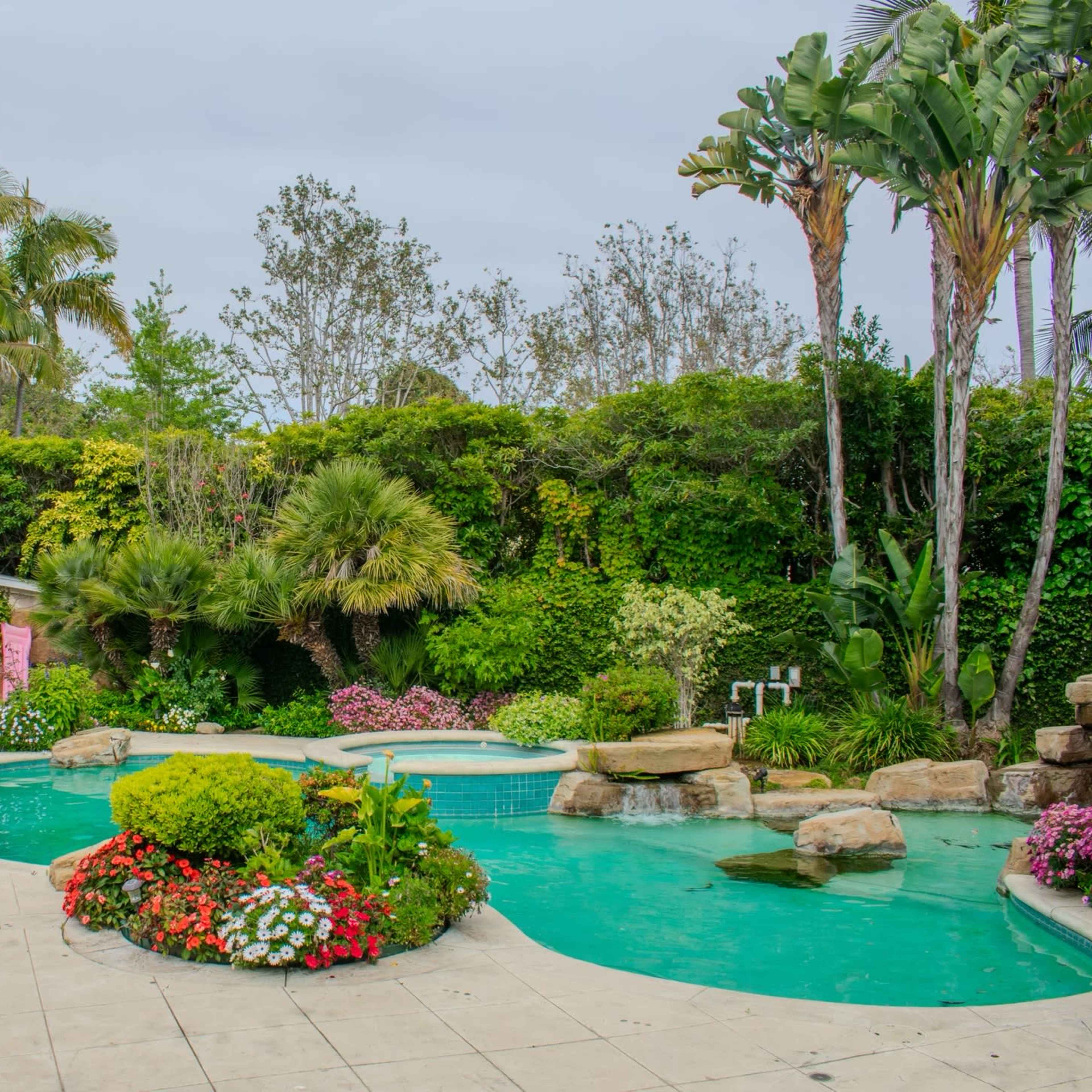A landscaped backyard features a swimming pool surrounded by tropical plants and colorful flowers.