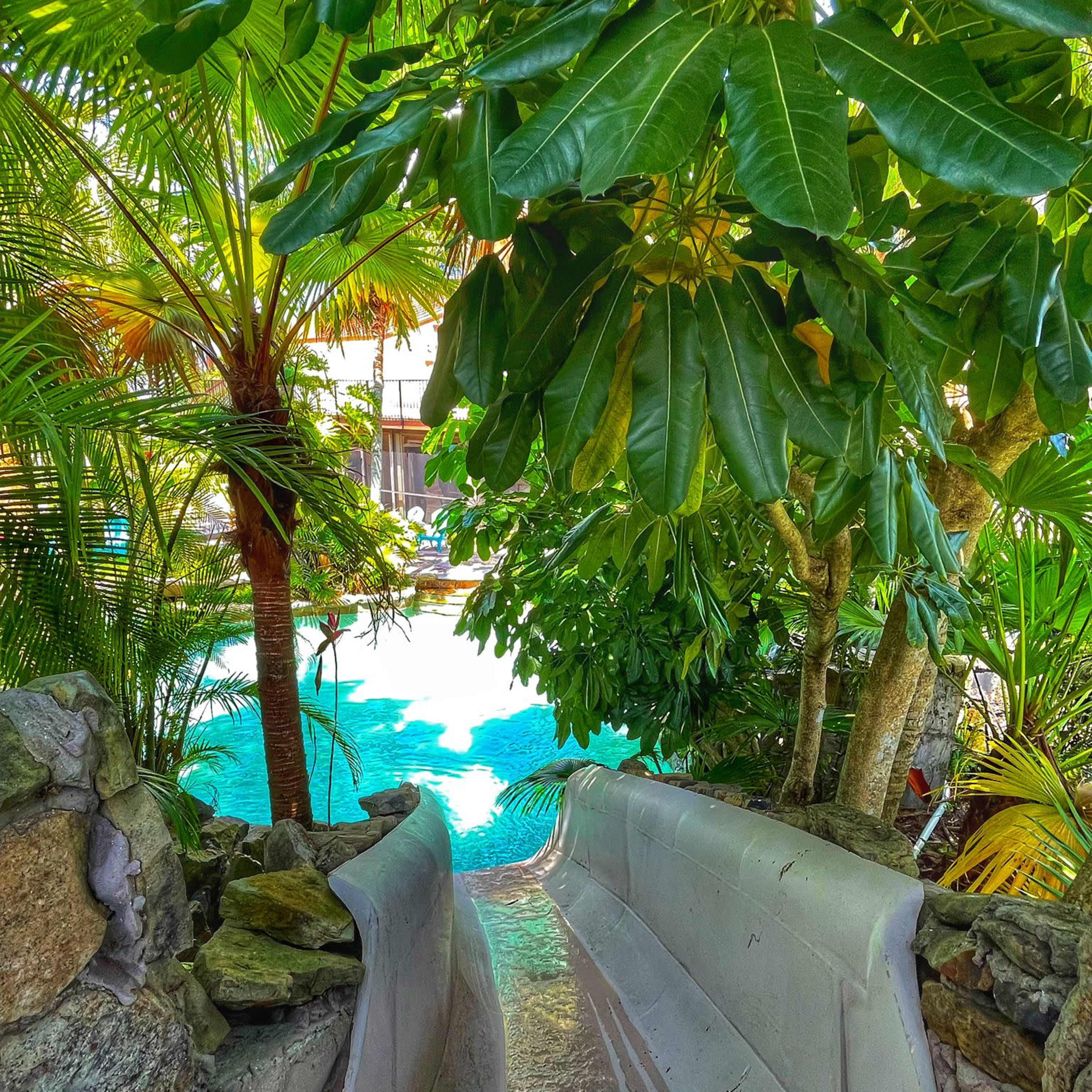 A waterslide cascades into a swimming pool surrounded by lush tropical foliage.