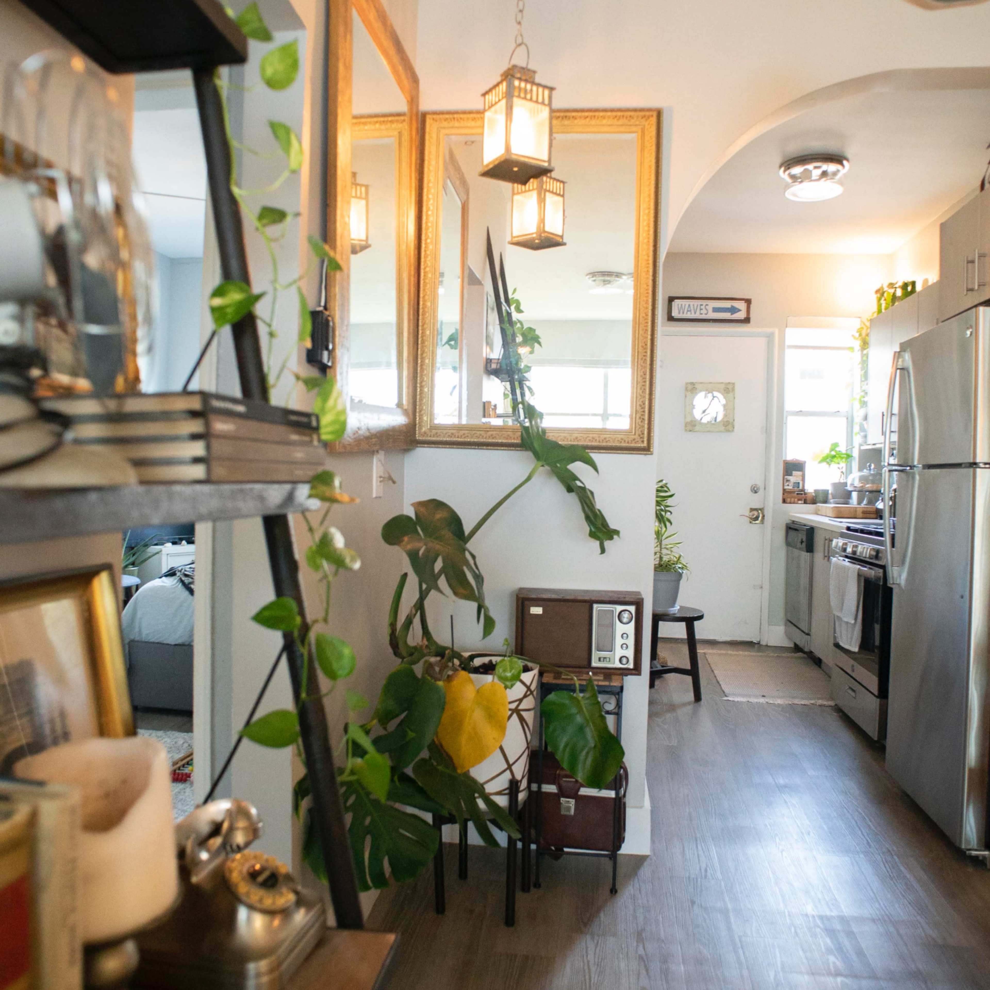 A hallway with wooden flooring leads to a doorway, flanked by plants and decorative items on shelves.