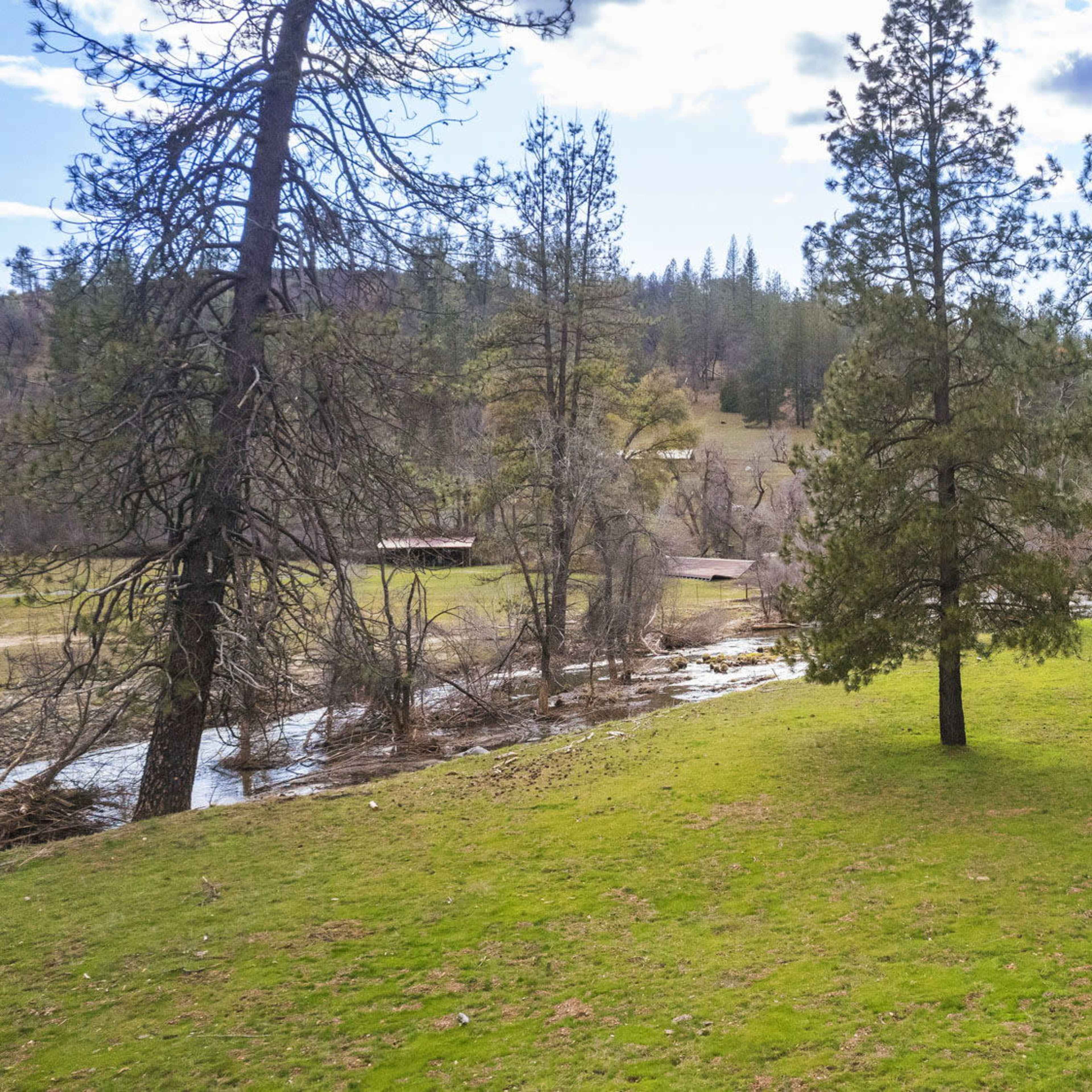 A grassy area with several tall pine trees beside a winding river, surrounded by rolling hills and a landscape of sparse vegetation.