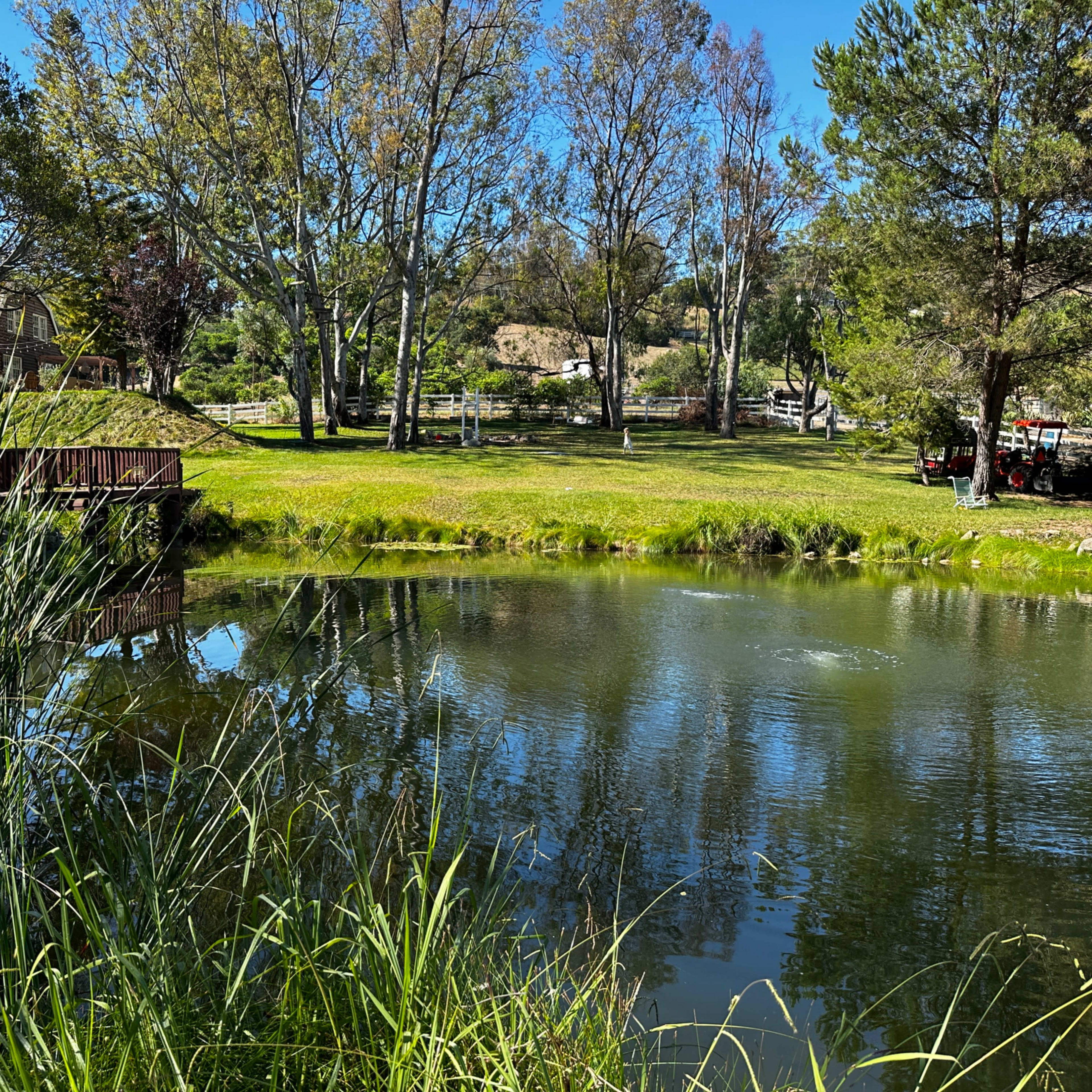 A calm pond is surrounded by trees and grassy areas, with a wooden bridge visible in the foreground.