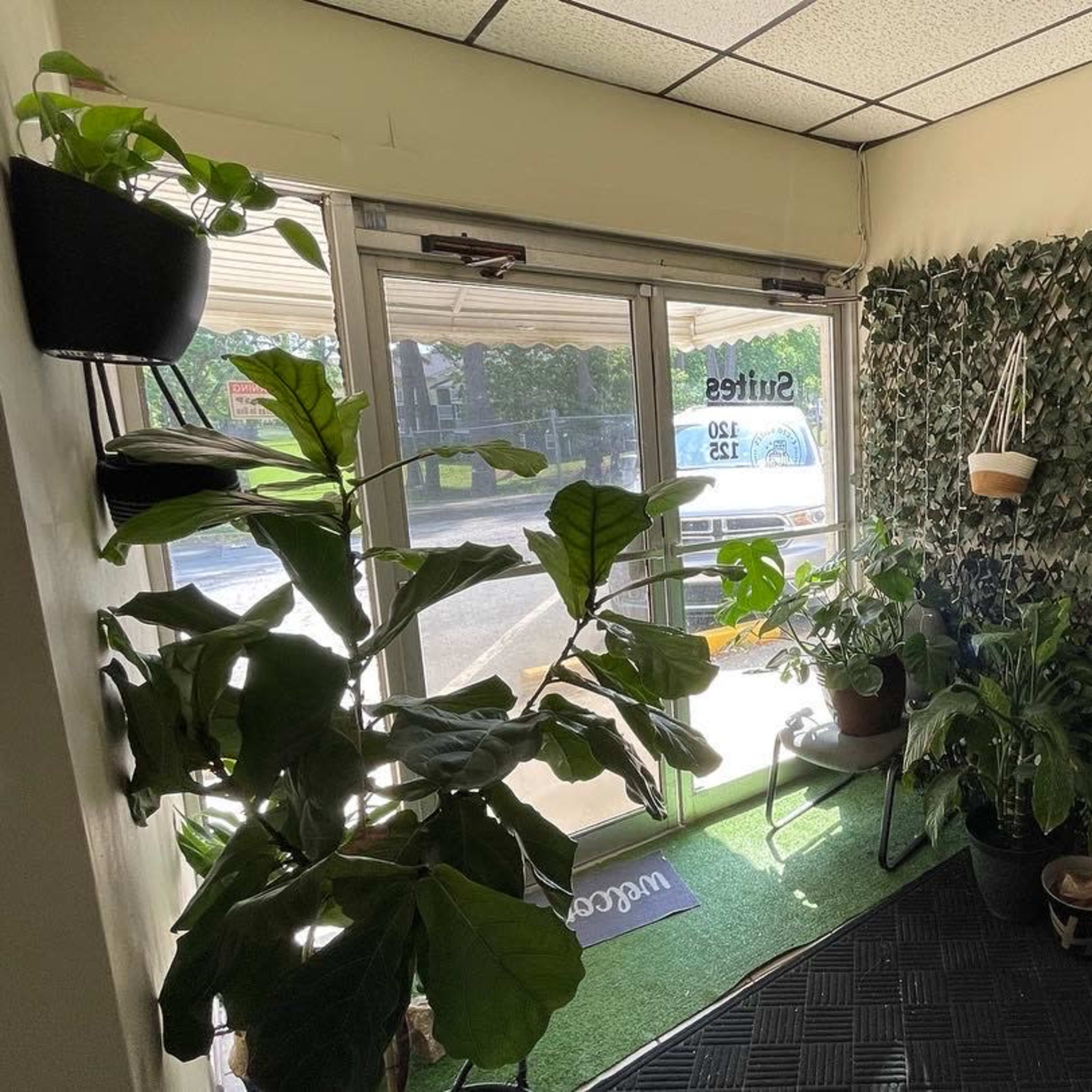 A small entryway with green plants and a wall covered in foliage, leading to a doorway with glass doors that open to the outdoors.