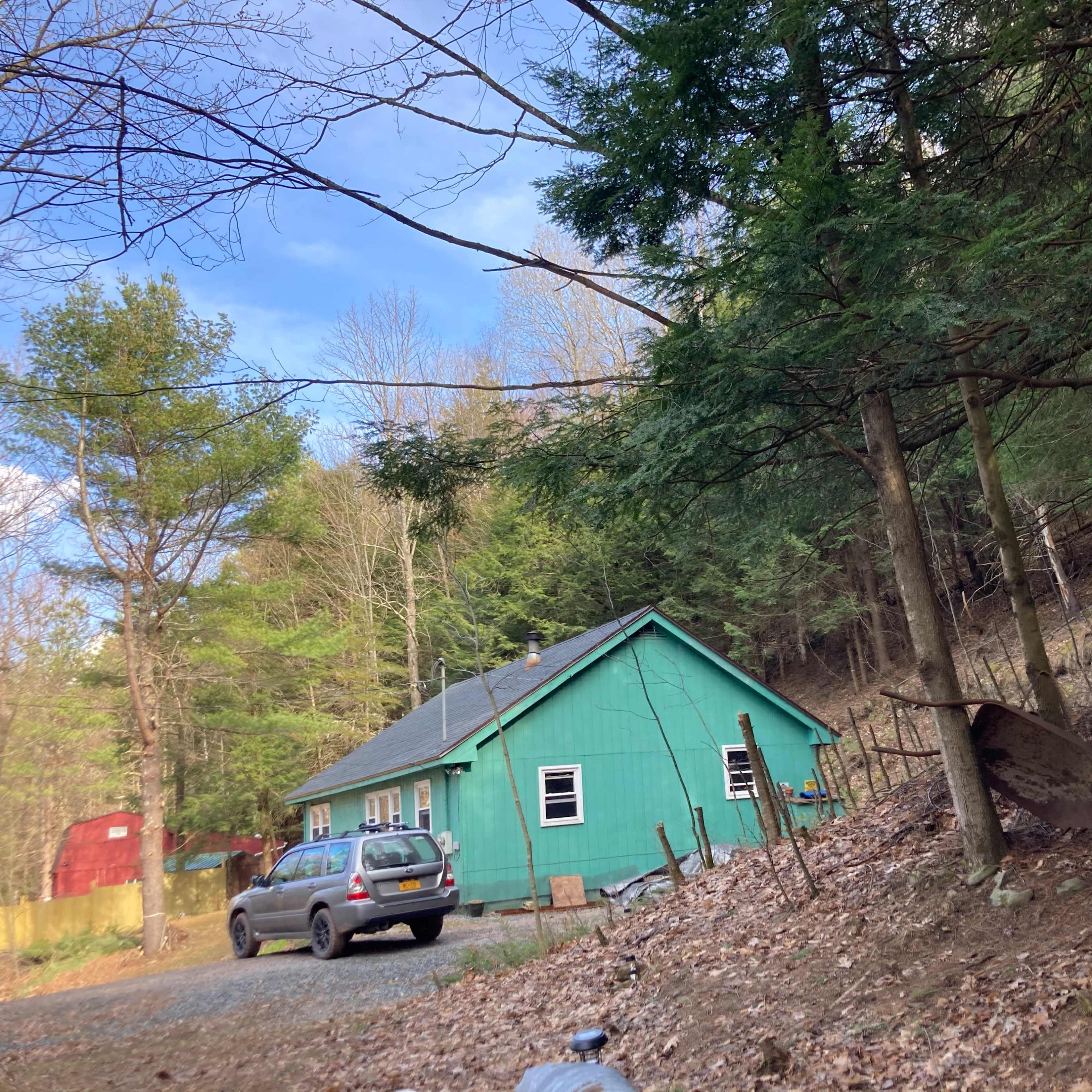 A green house is situated among trees with a gravel driveway and a wheelbarrow leaning against a tree.