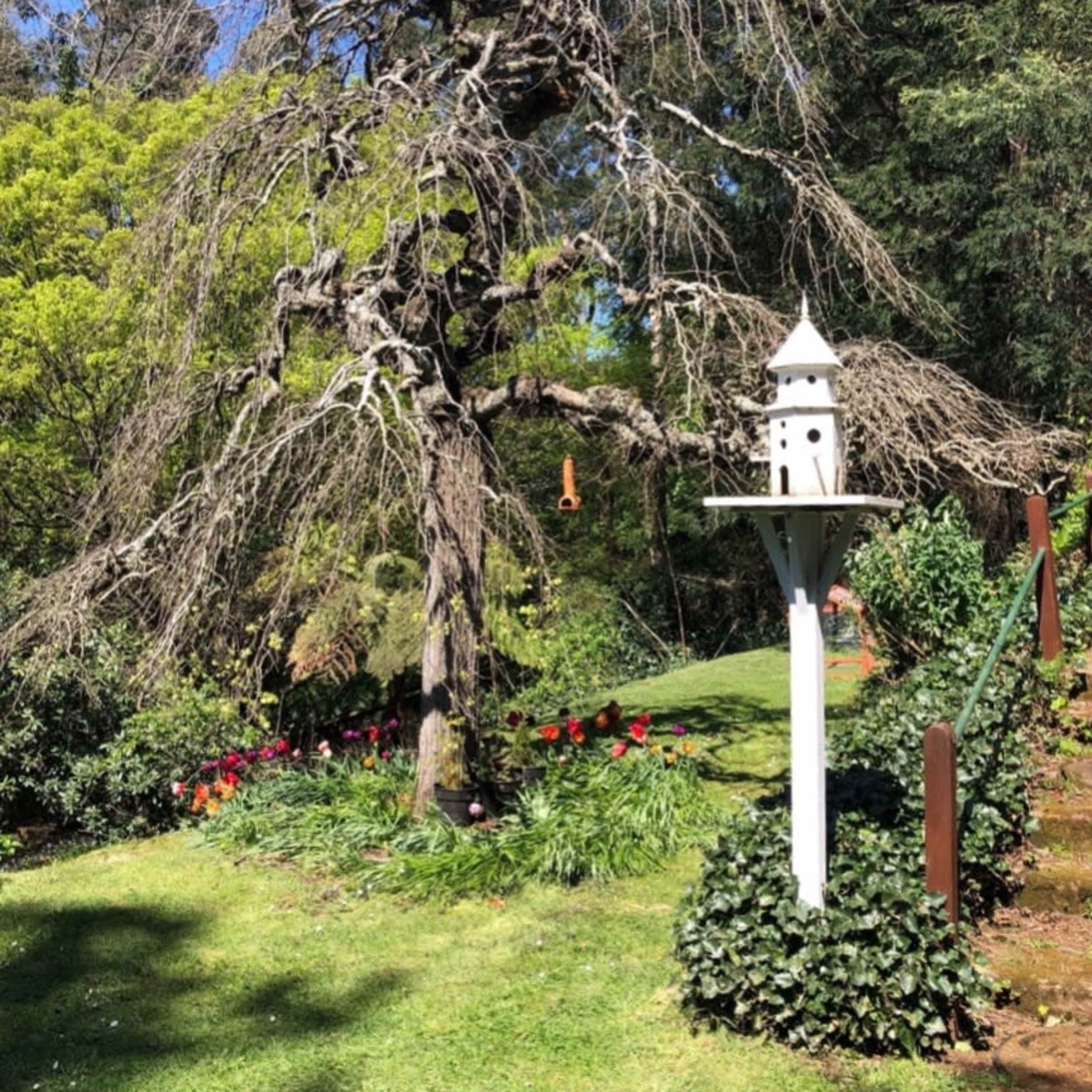 A bare tree stands next to a white birdhouse in a garden filled with green grass and colorful flowers.