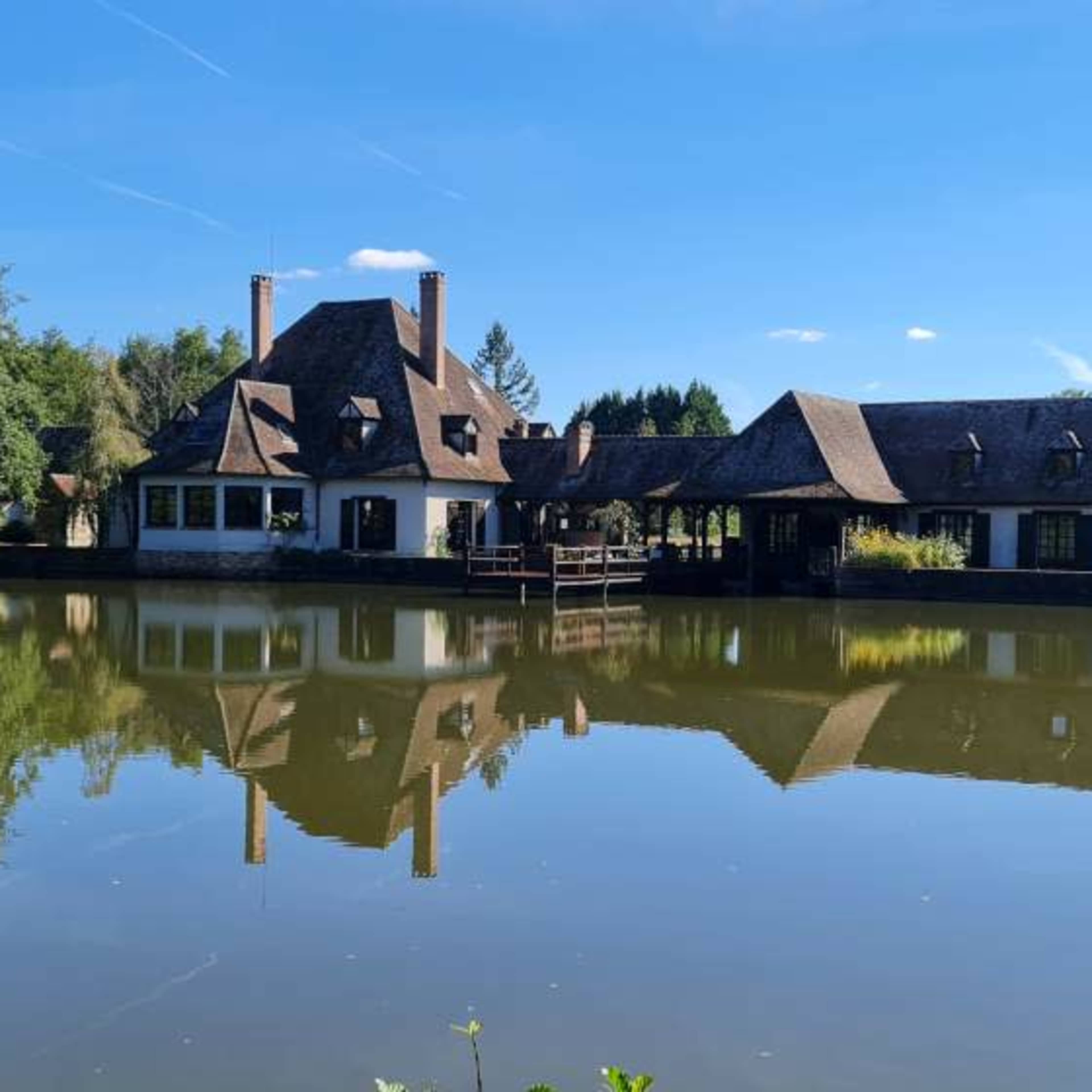 Domaine de 43 hectares en Sologne - dans le Cher Image dans Argent-sur-Sauldre, Argent-sur-Sauldre, Centre-Val de Loire
