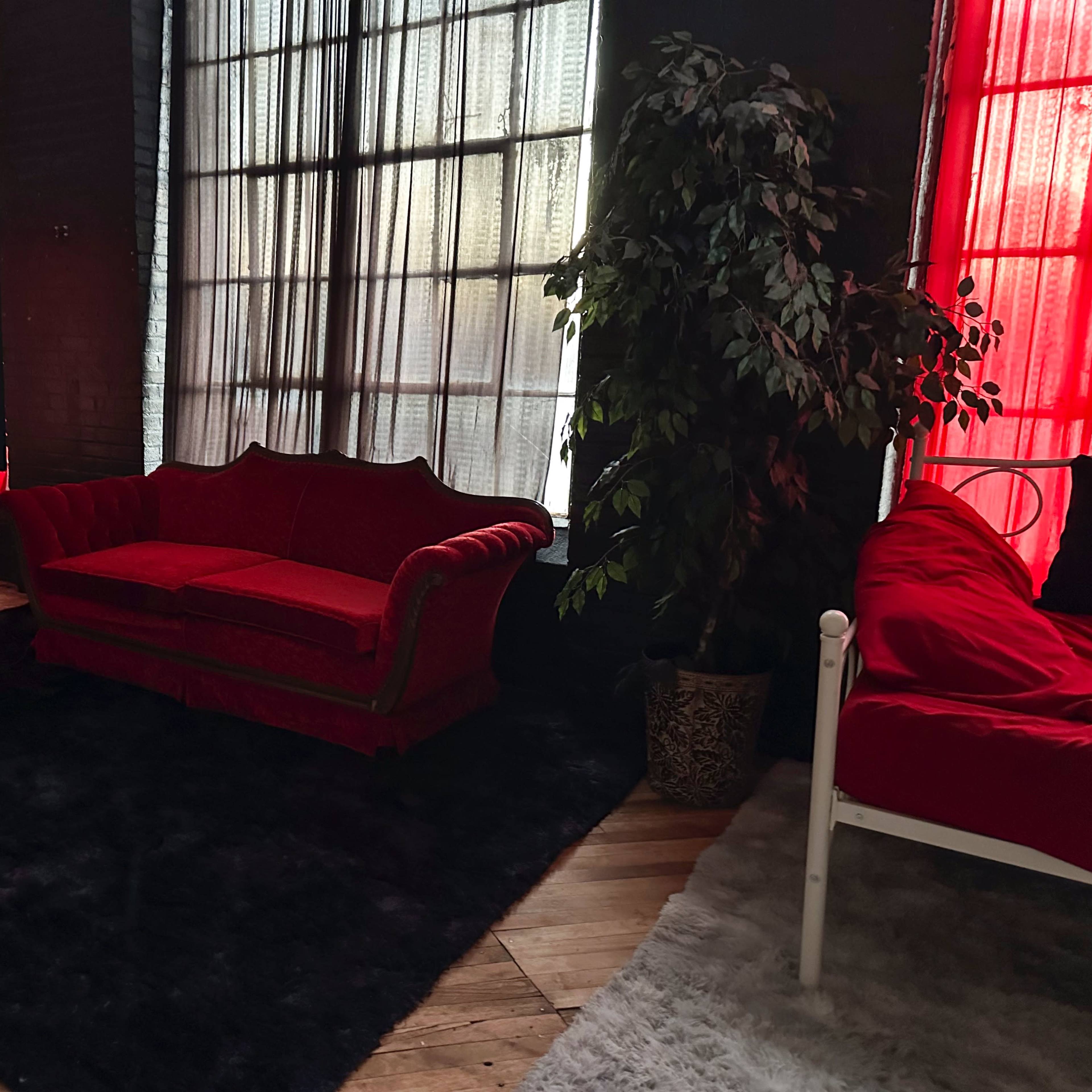 A room with two red couches, a black rug, and large windows covered with sheer curtains that filter light into the space.