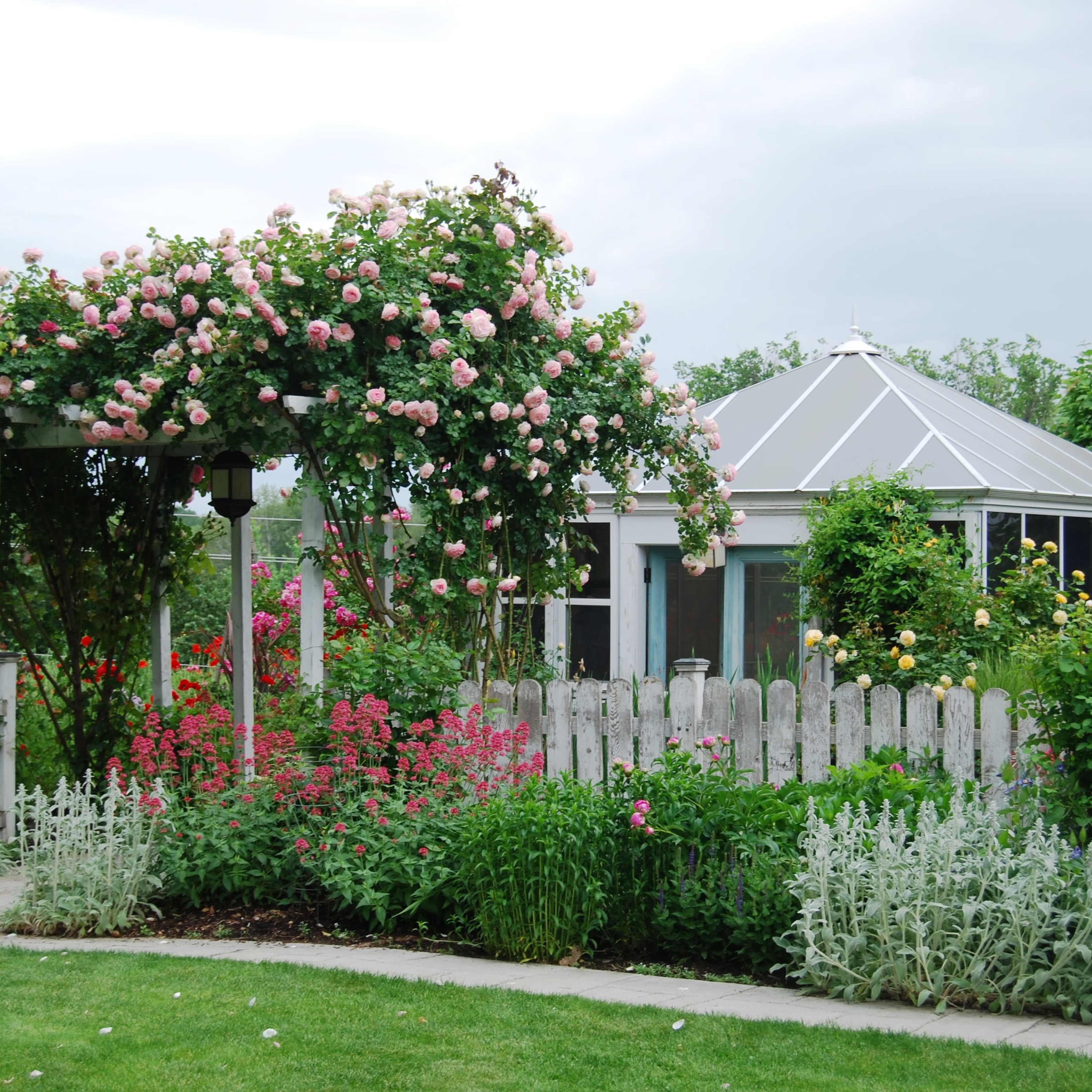 A garden features a rose-covered pergola in front of a glass-paneled sunroom surrounded by colorful flowers and greenery.