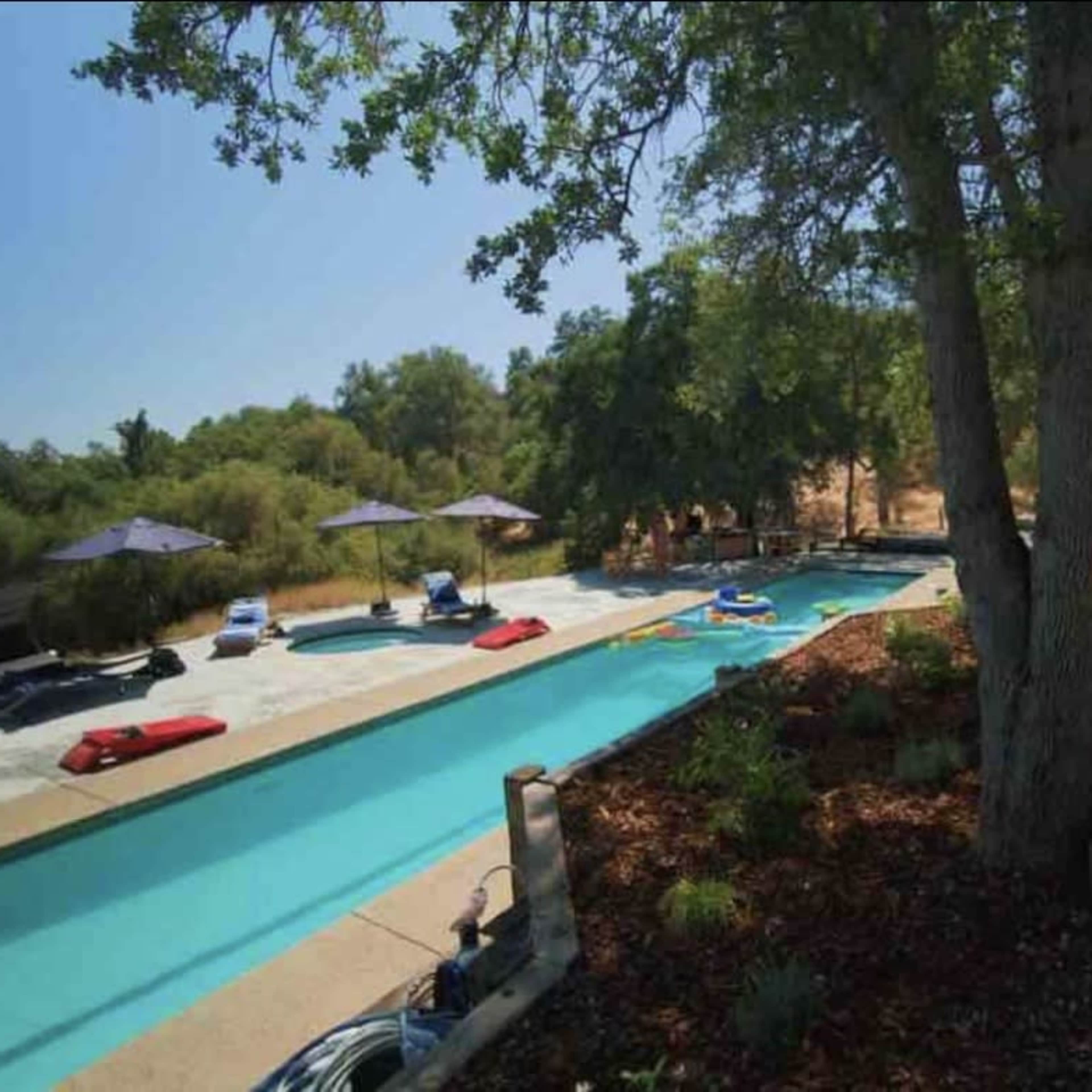 A long swimming pool is lined with lounge chairs and umbrellas, surrounded by trees and a stone pathway.