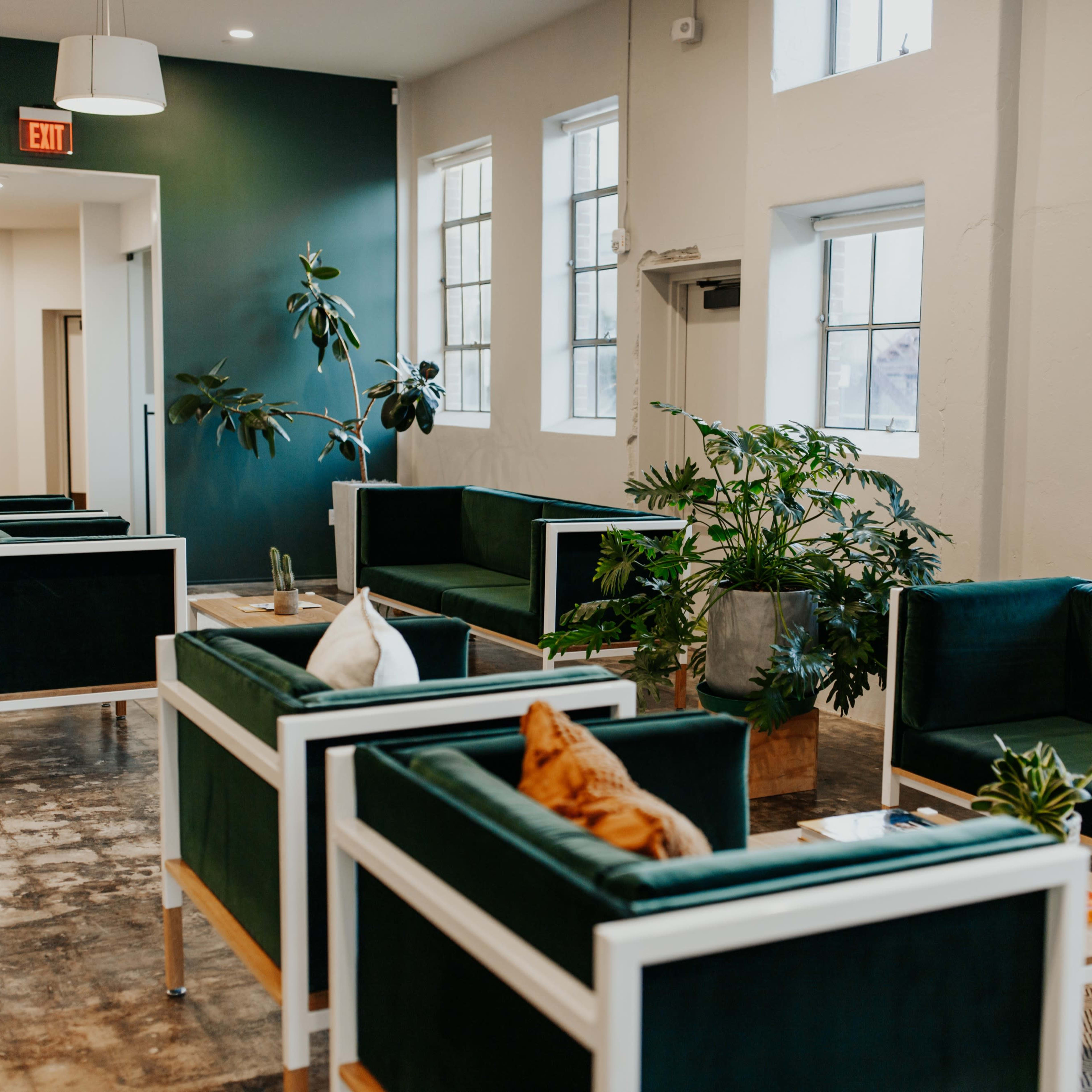 A modern lounge area with green couches arranged around potted plants and large windows.