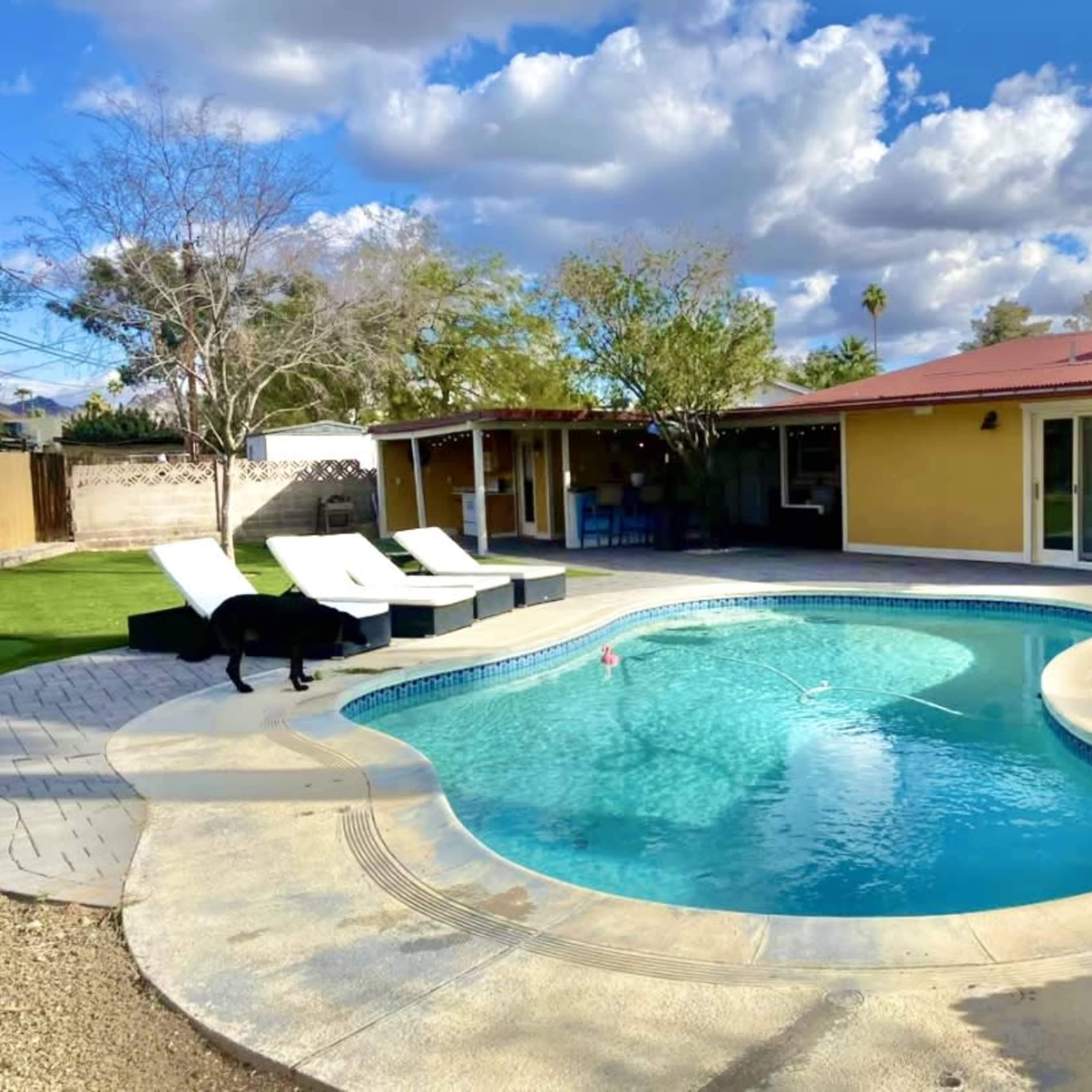 Pool House Bistro Pets allowed w/ 2BR & 4bd w/ & BBQ Image in North Mountain Village, Phoenix, AZ