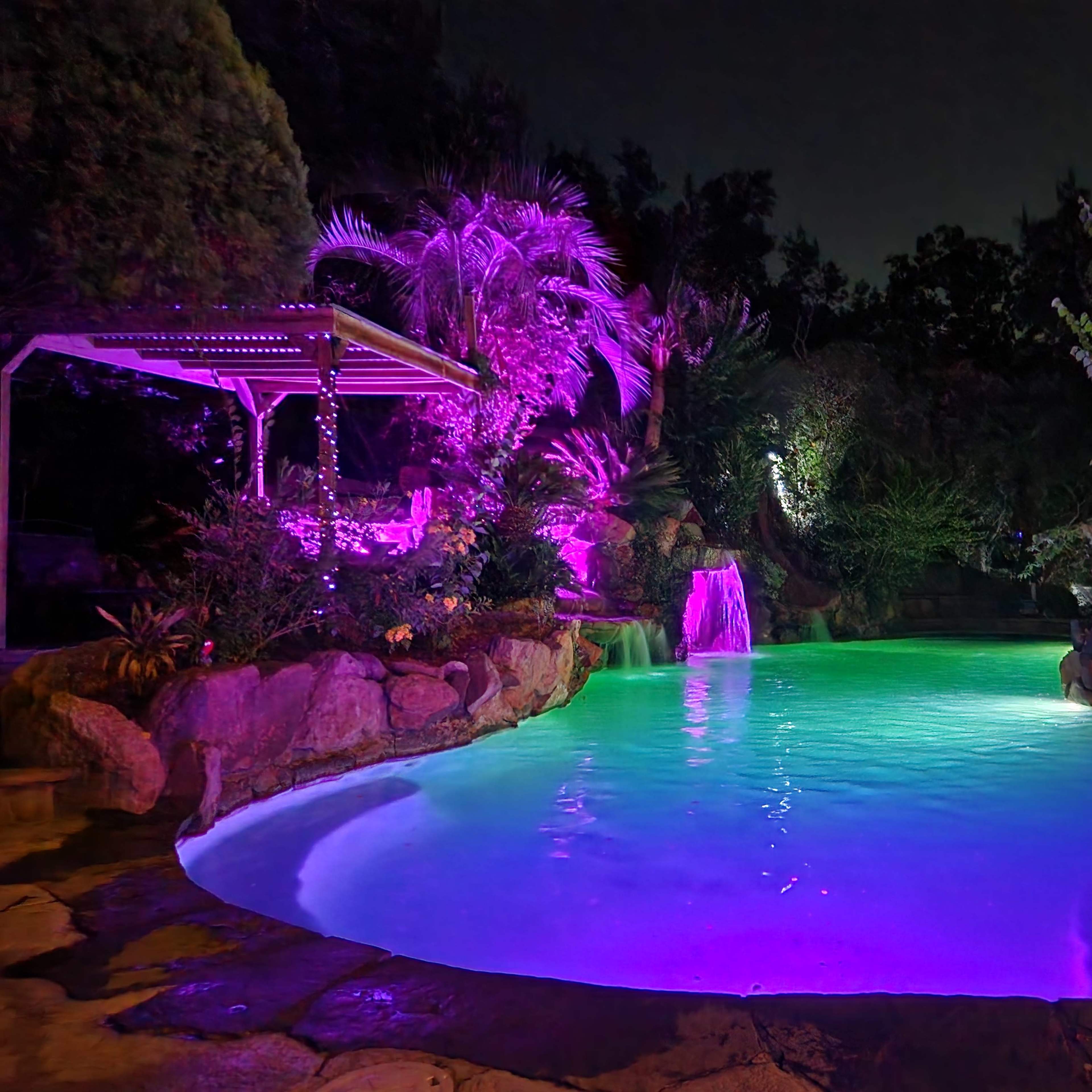 Tropical Oasis Pool and Spa Image in , Conroe, TX