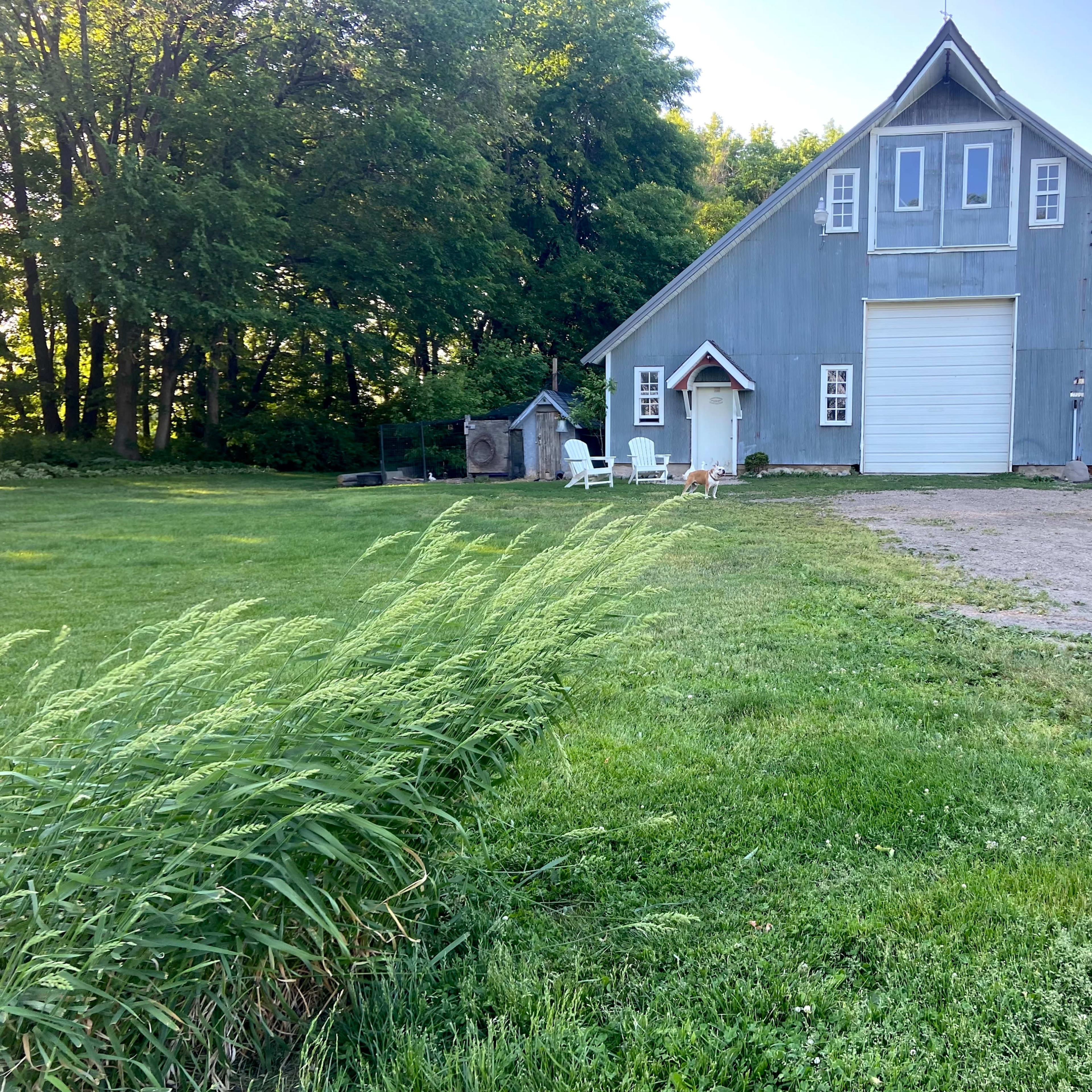 A gray barn with white garage doors sits beside a grassy area and a tree line.