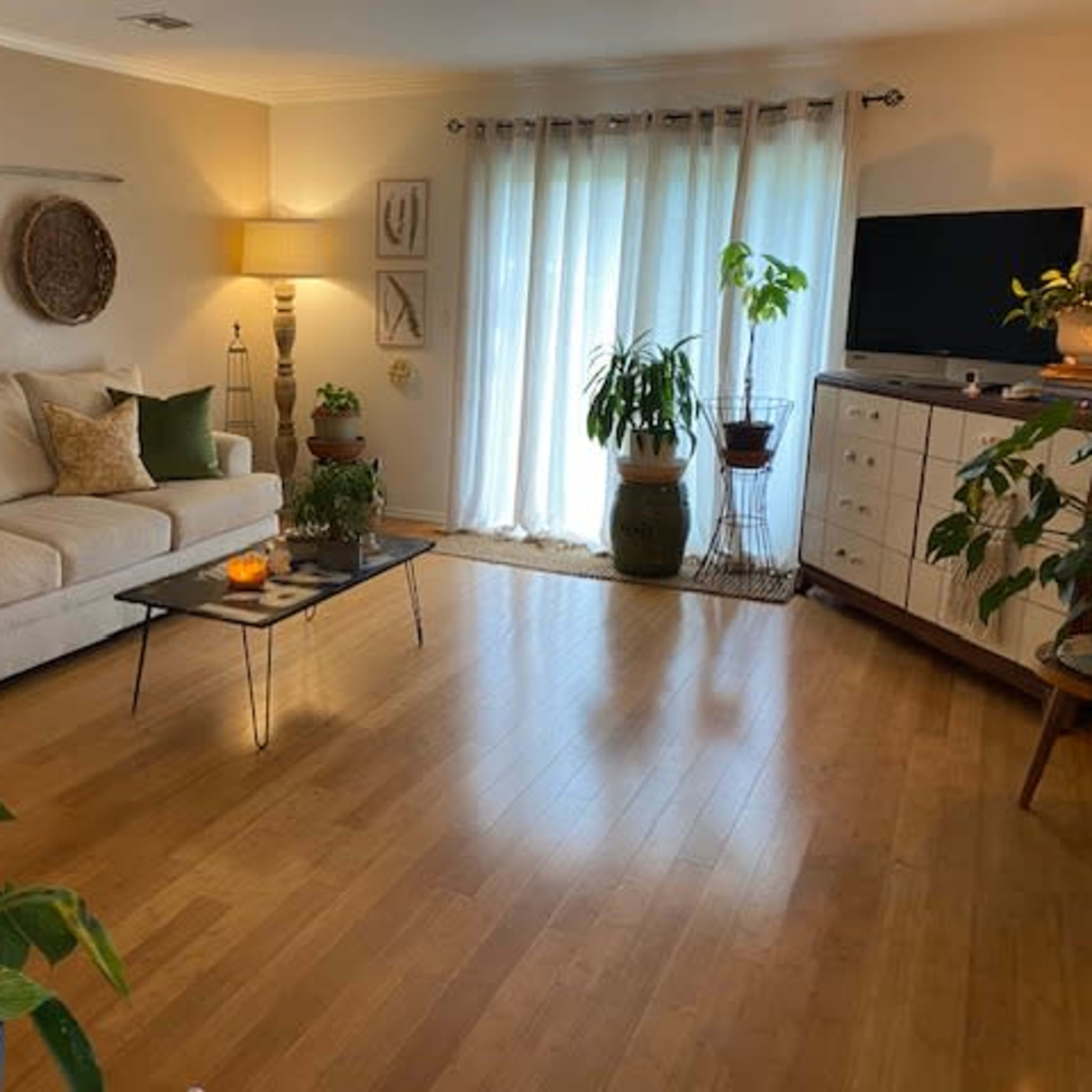 A living room with a light-colored sofa, a glass coffee table, indoor plants, and large windows draped with sheer curtains.
