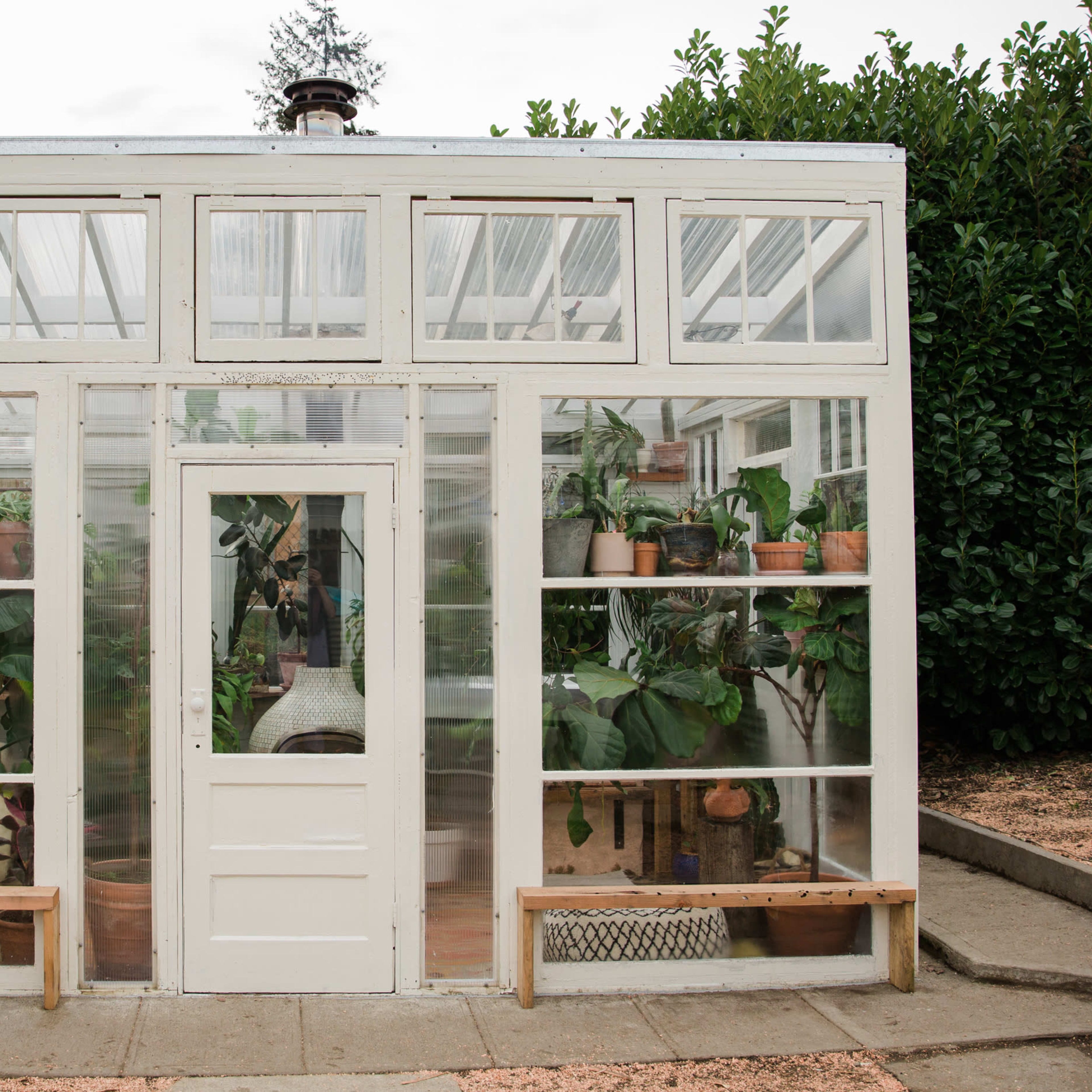 A white-framed greenhouse with glass panels, featuring potted plants on shelves and wooden benches outside.