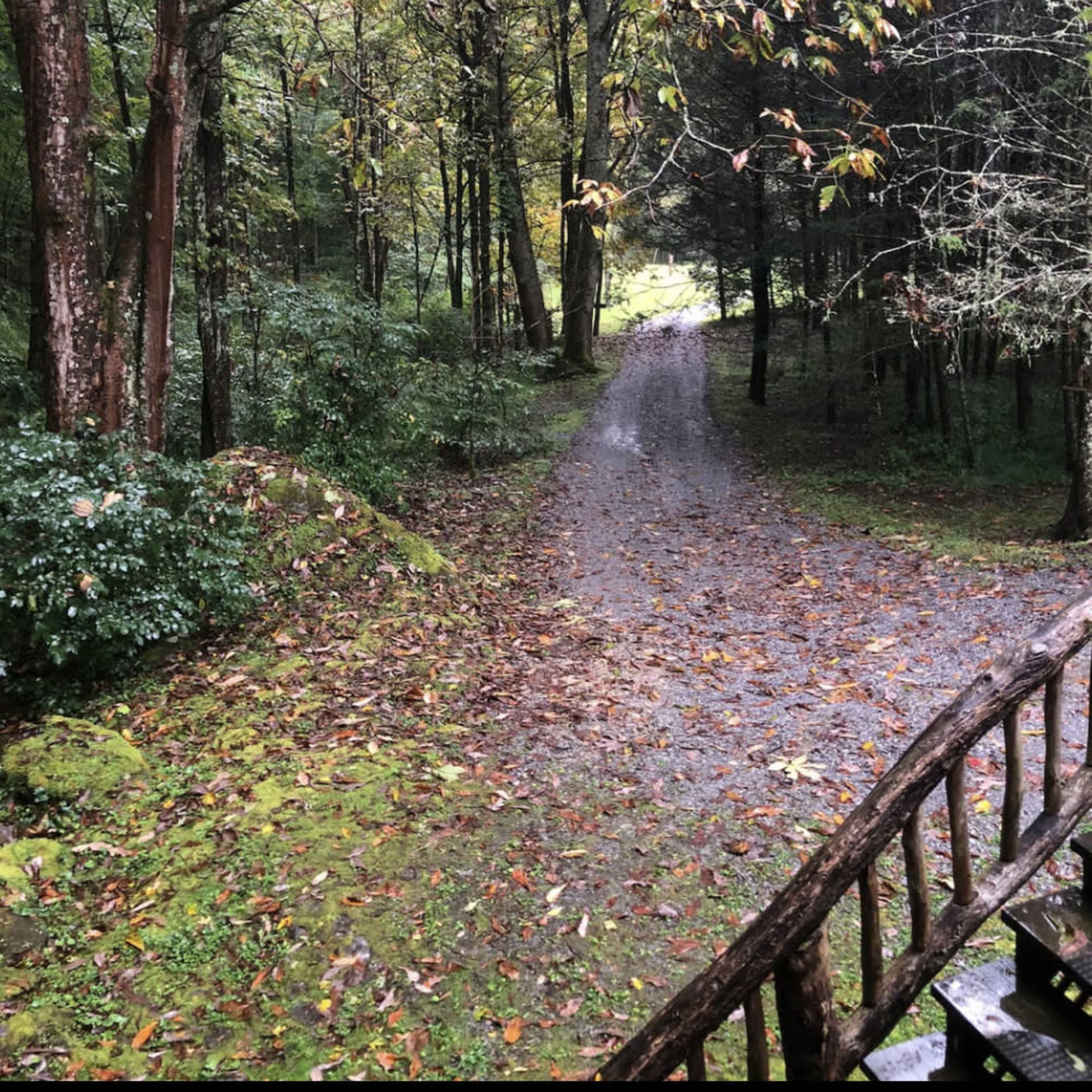 A gravel path winds through a wooded area with trees lining both sides and fallen leaves covering the ground.
