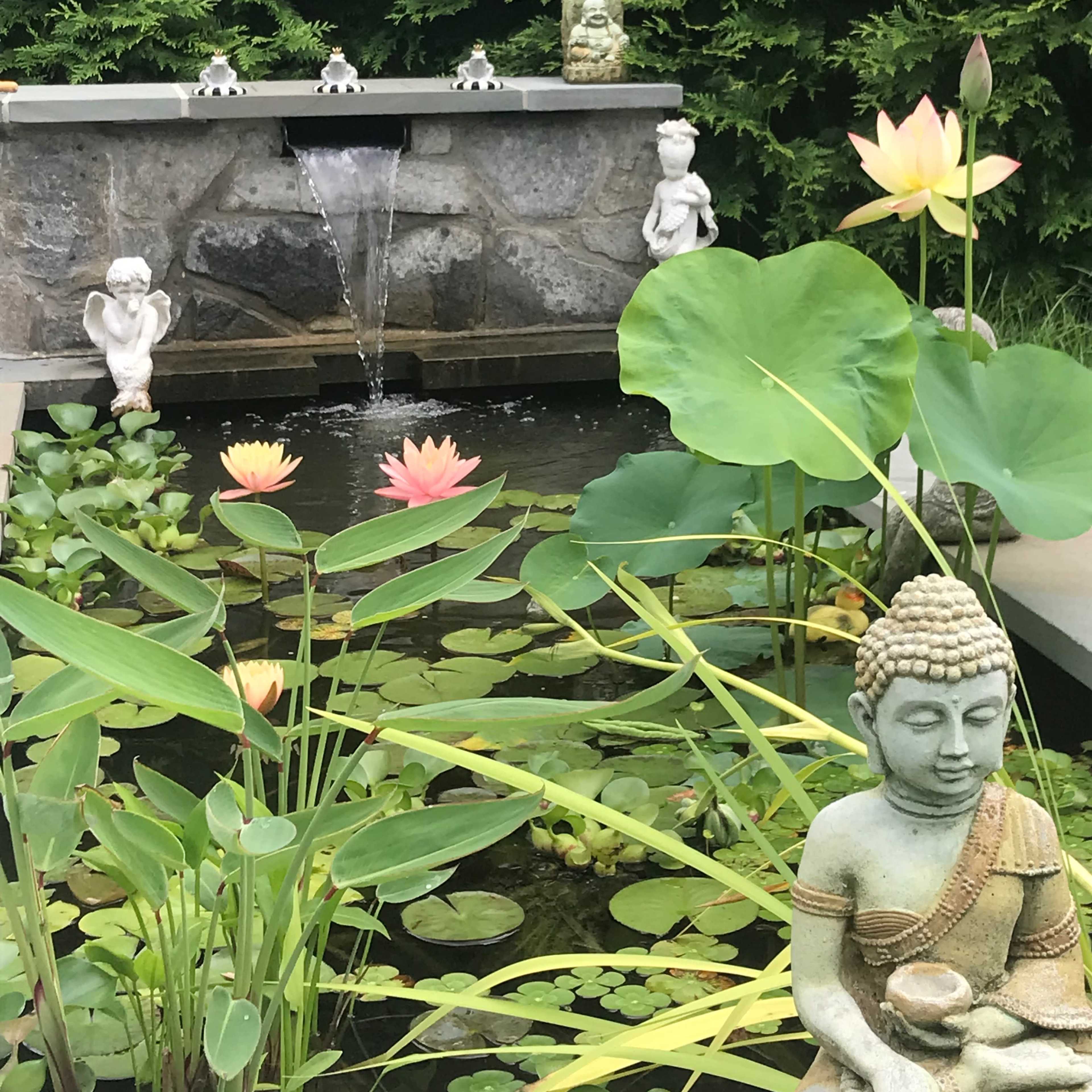 A serene garden pond with lotus flowers, decorative statues, and a stone fountain surrounded by lush greenery.