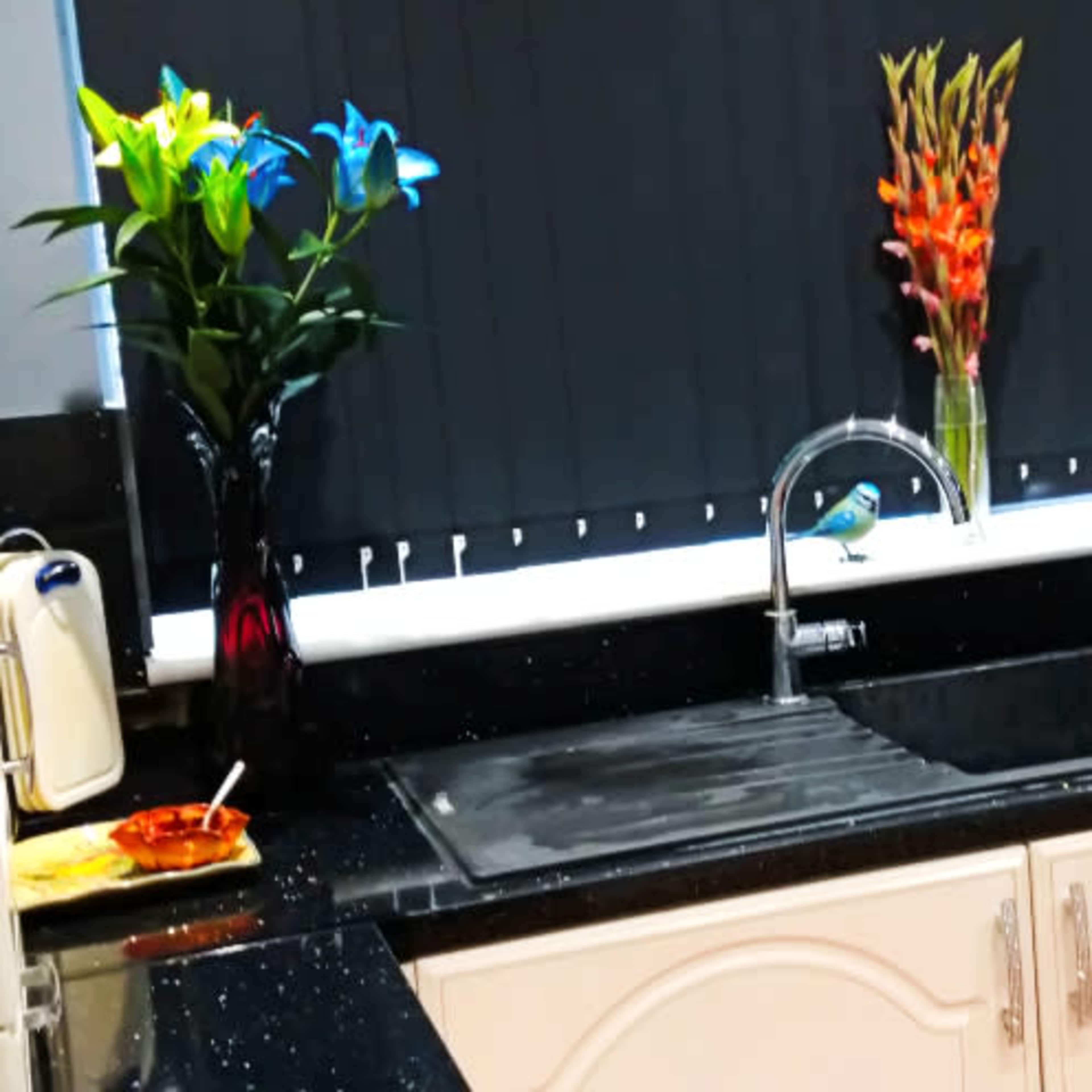 The kitchen features a black countertop with a sink, a toaster, and decorative flowers on the windowsill.