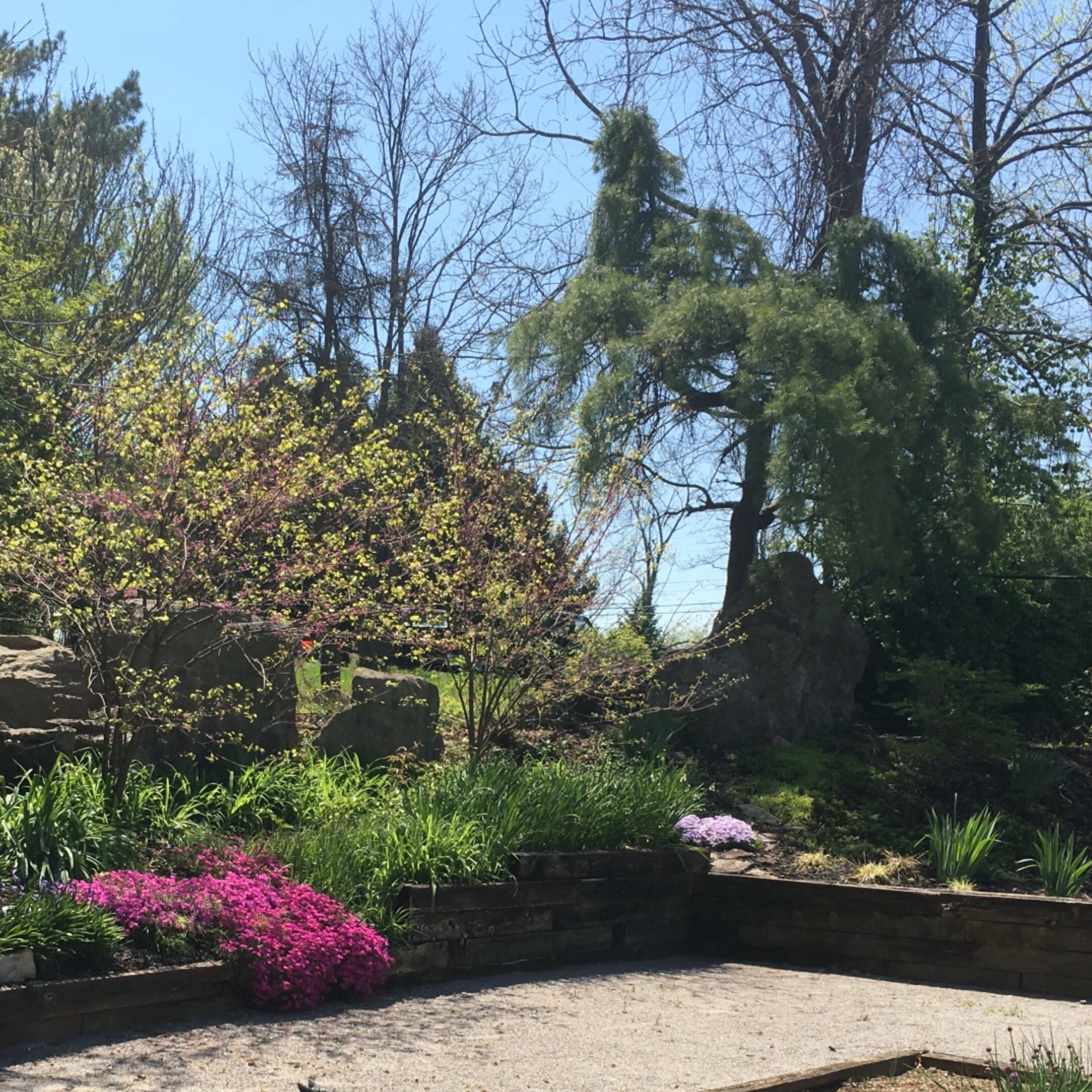 A landscaped garden featuring rock formations, flowering plants, and trees under clear blue skies.