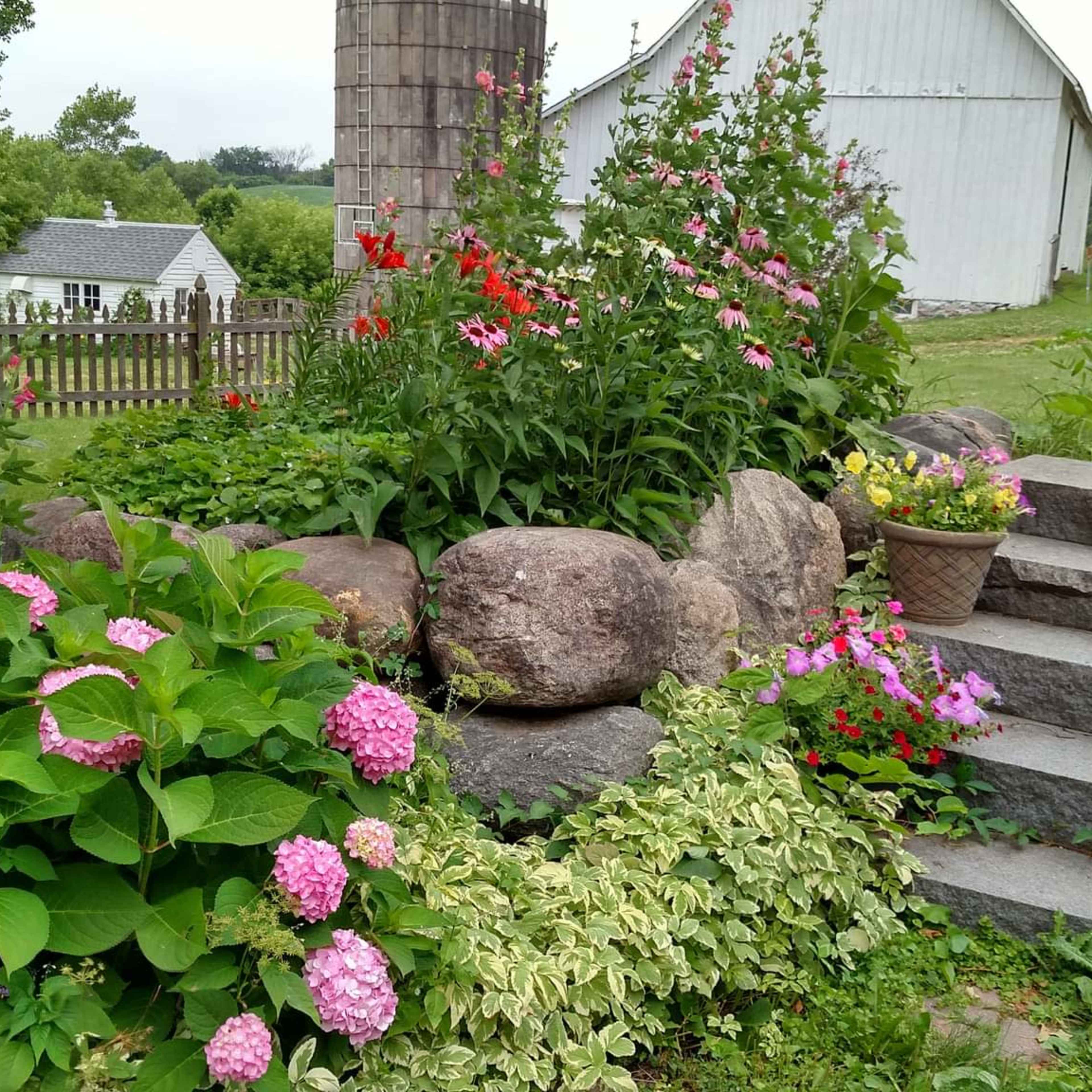 A landscaped garden features large rocks, colorful flowers, and stone steps leading up to a white barn in the background.