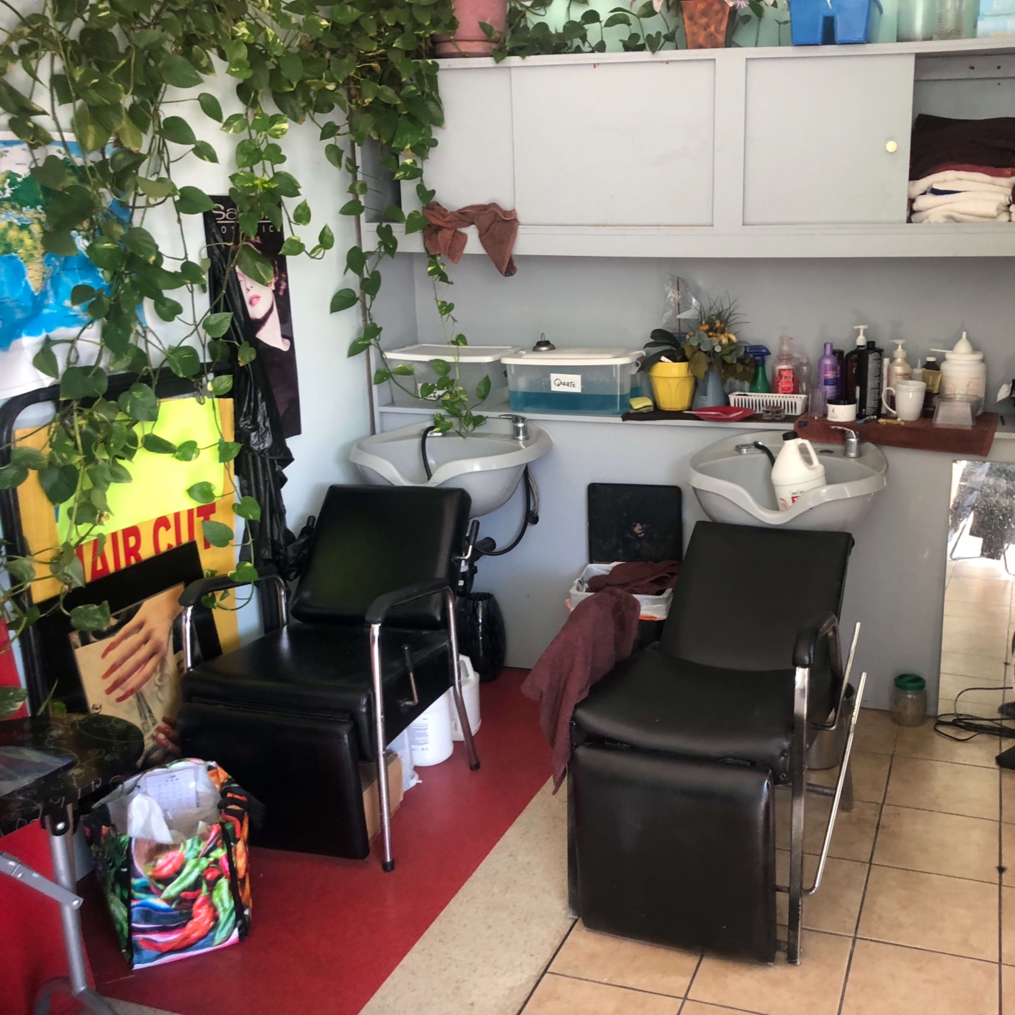A small hair salon with two black salon chairs, hair washing stations, shelves filled with supplies, and potted plants against the wall.