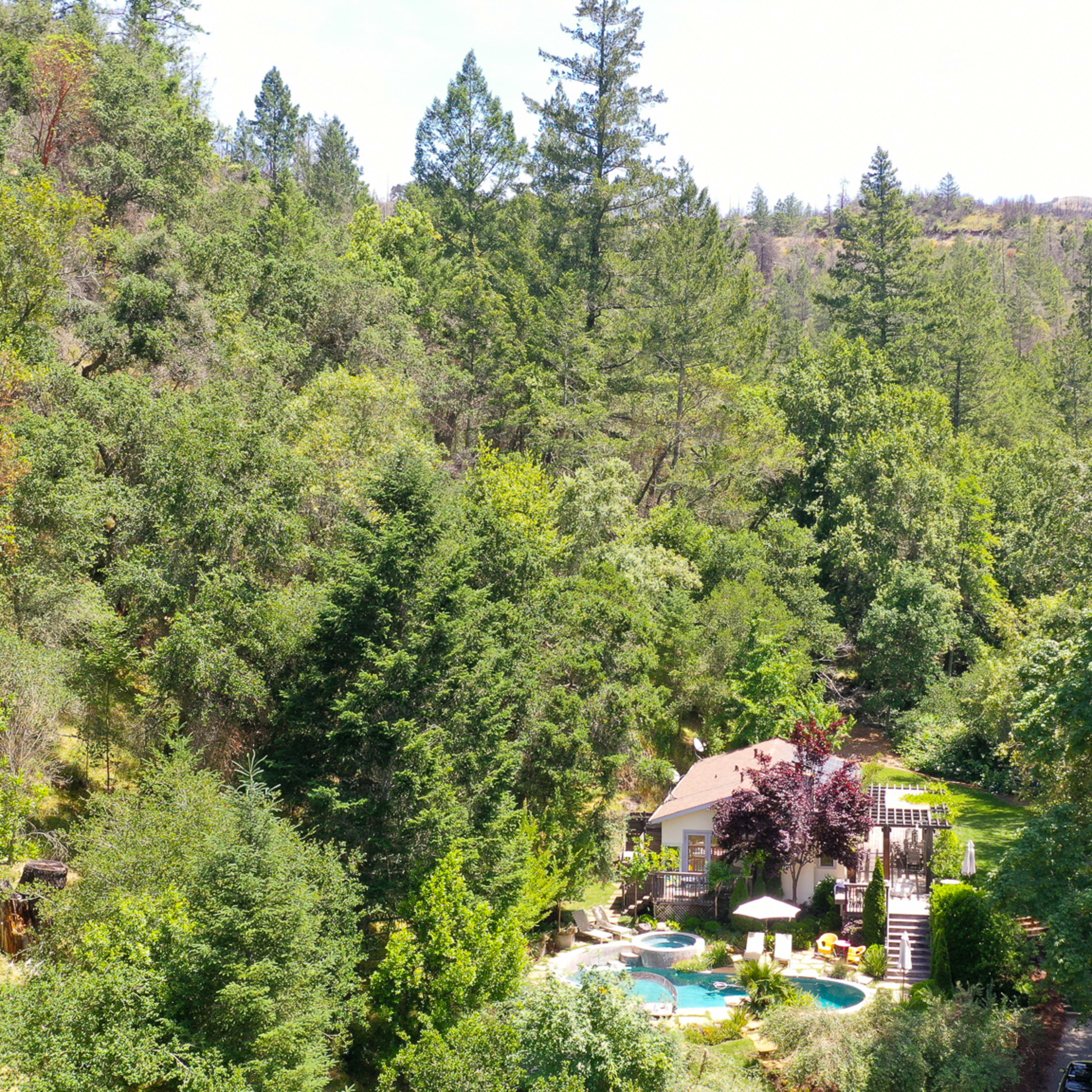 A house with a swimming pool is nestled among dense greenery in a mountainous area.