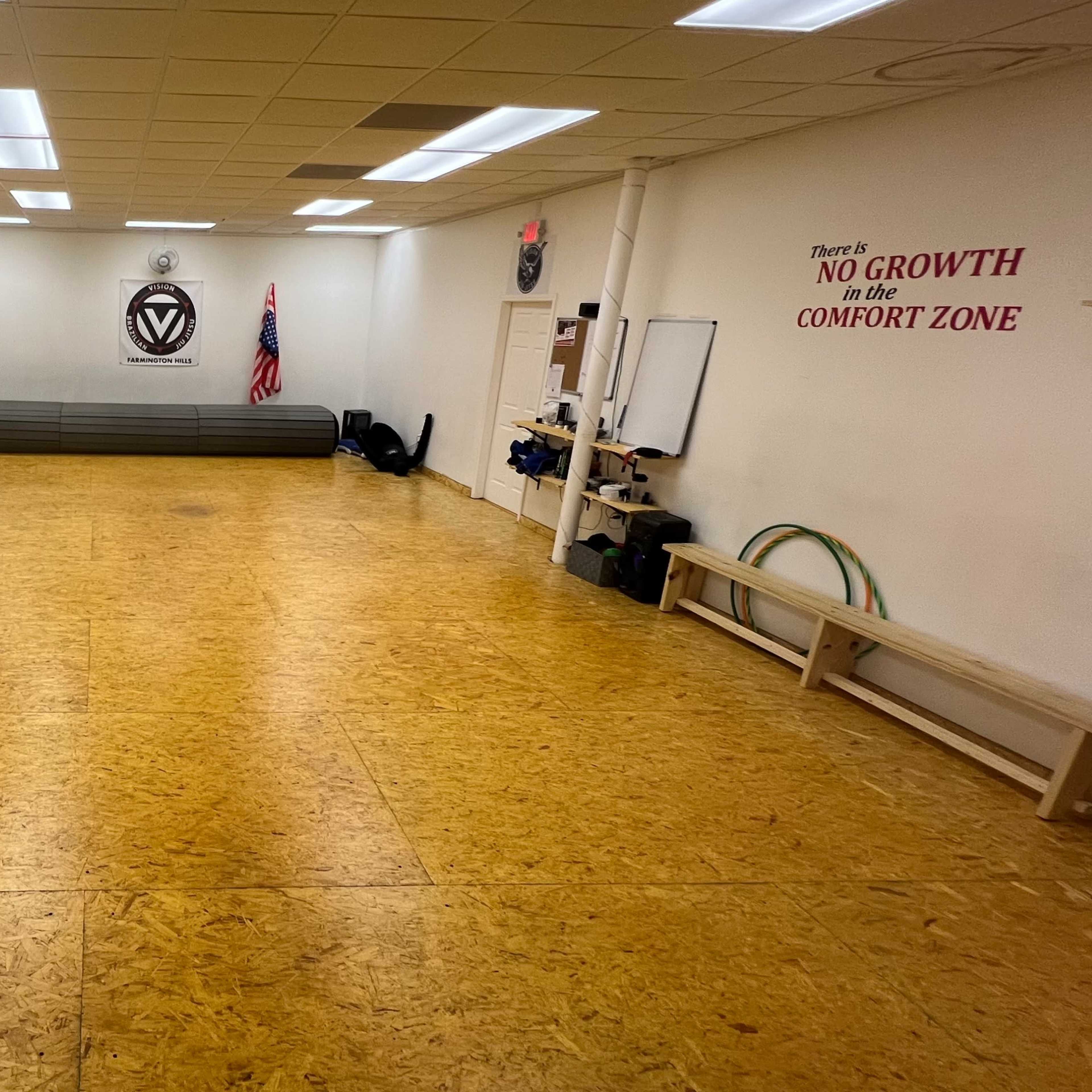 Multi-Use Studio for Dance, Martial Arts, Events & Productions – Mirrors, Sound & Optional BJJ Mats Image in Farmington Hills, Farmington Hills, MI